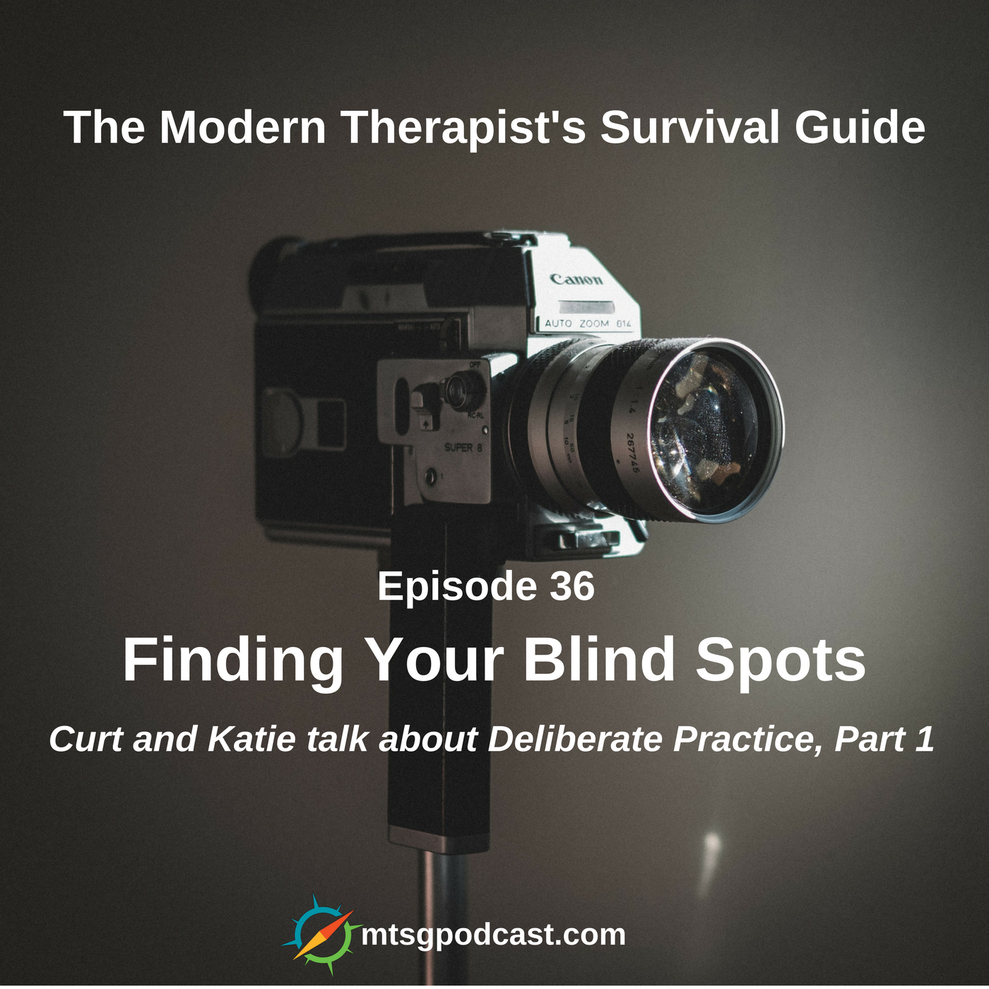 The Modern Therapist\'s Survival Guide with Curt Widhalm and Katie Vernoy