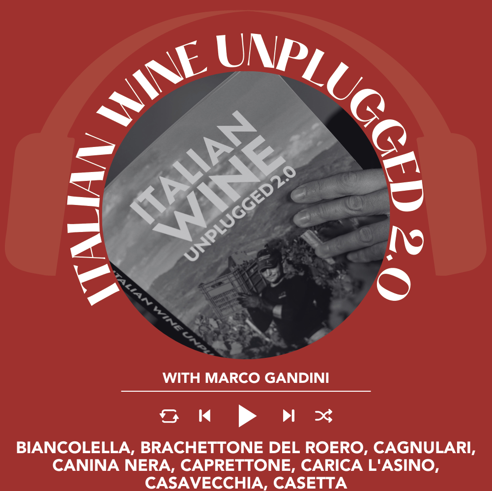 Marco Gandini Narrates Pt. 73 | Italian Wine Unplugged 2.0