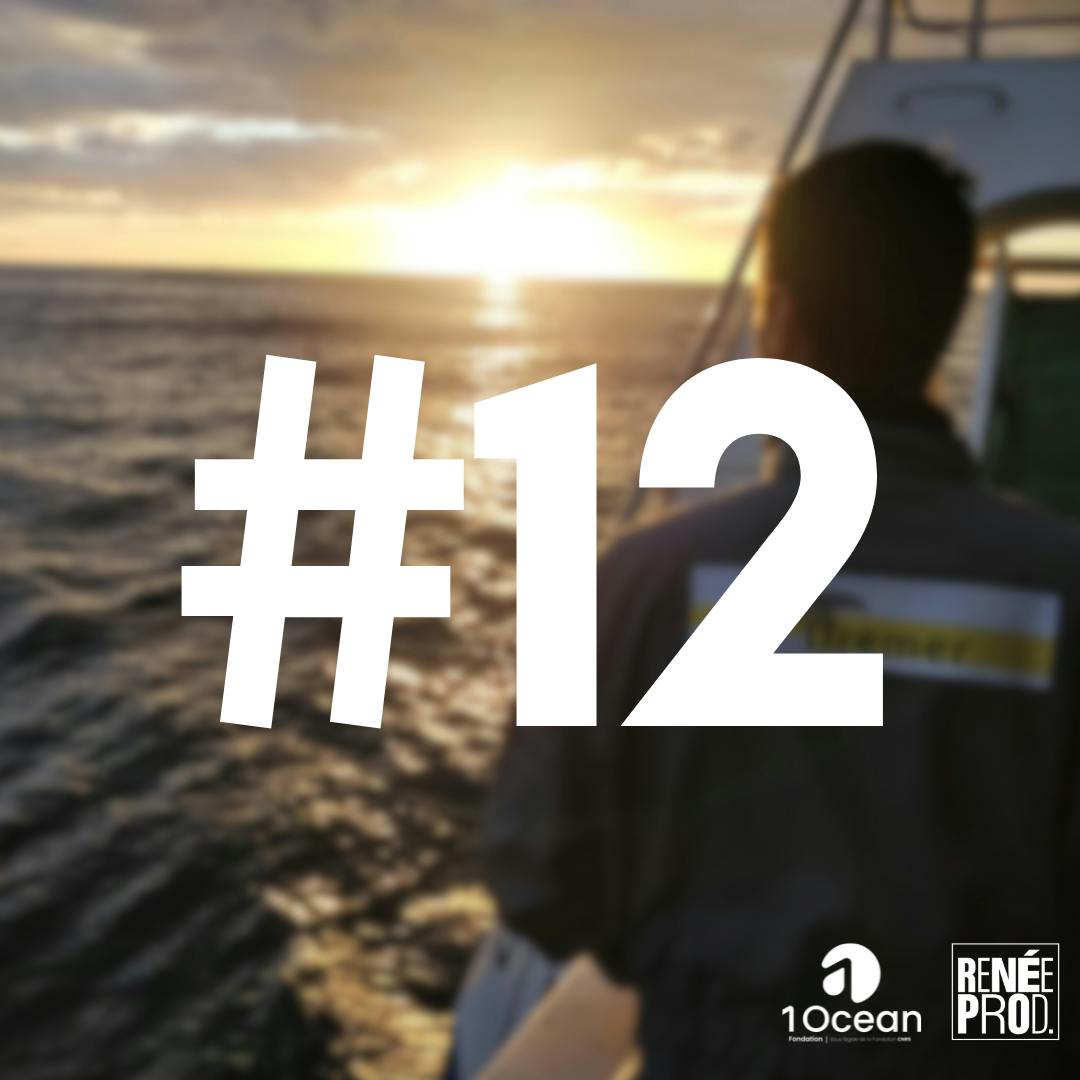 Plongeon dans la pêche scientifique Plongeon dans la pêche scientifique