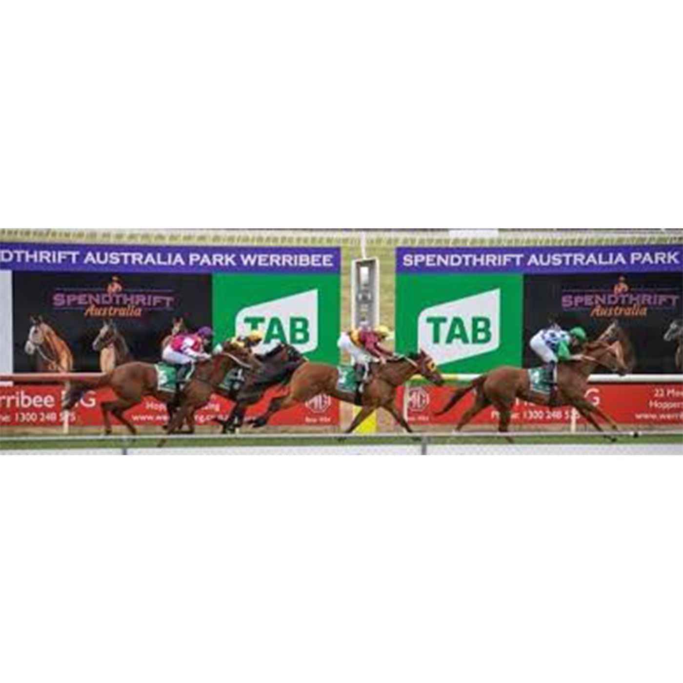Werribee Racing Club's Adam Wilkinson chats to Andrew Kuuse episode artwork