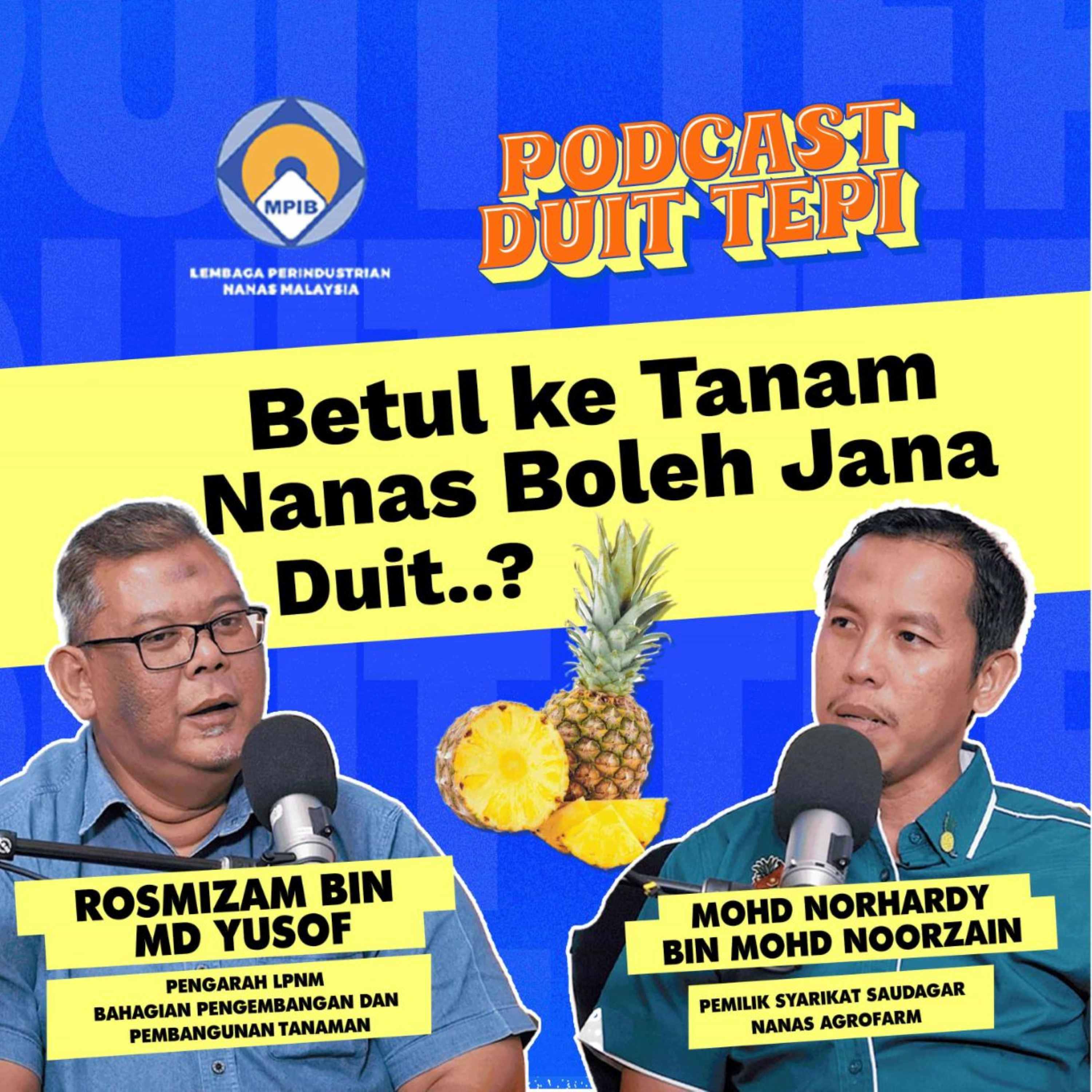 Jana Duit Tepi Dengan Nanas? Boleh Ke? | Podcast Duit Tepi EP9