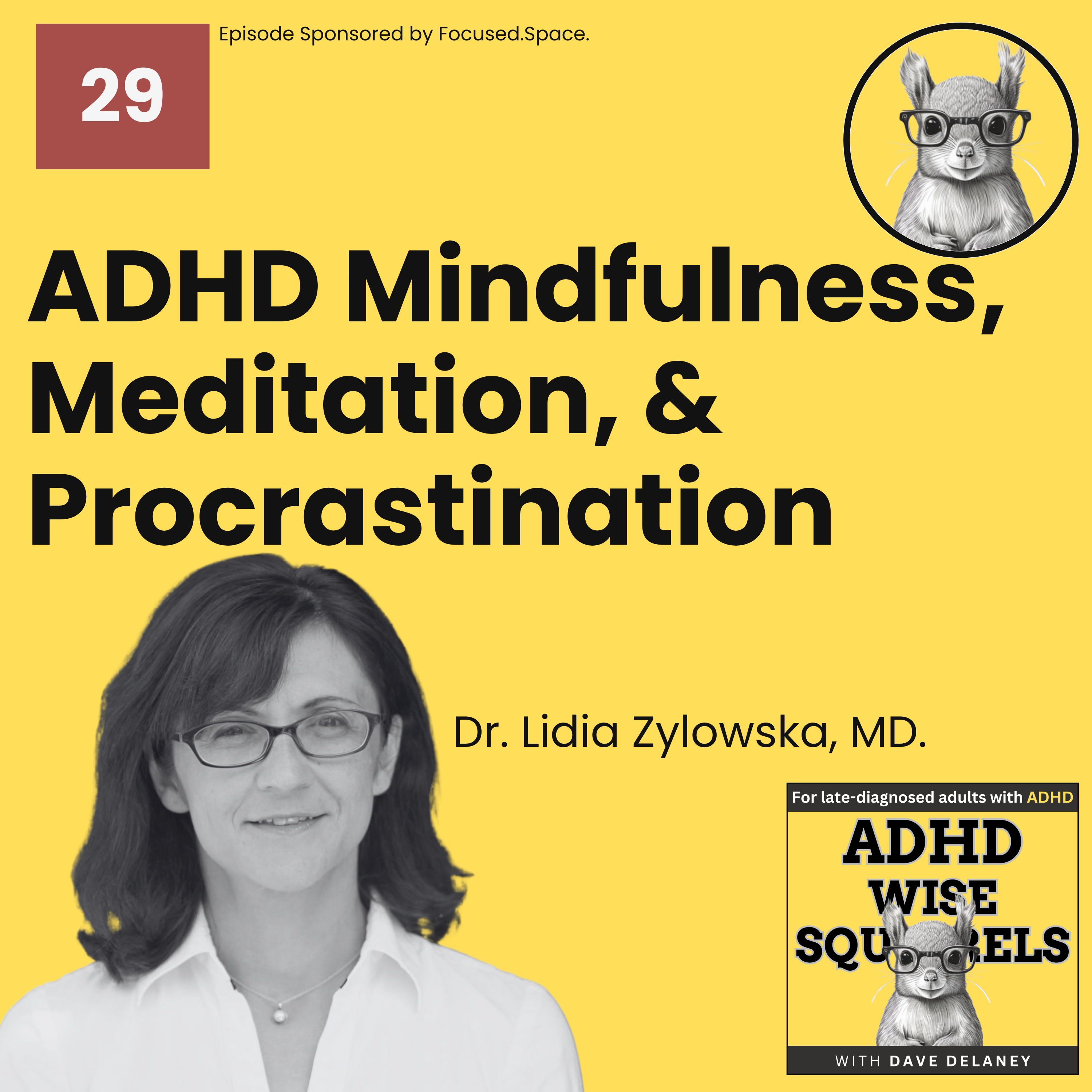 ADHD Wise Squirrels for late-diagnosed adults with ADHD.