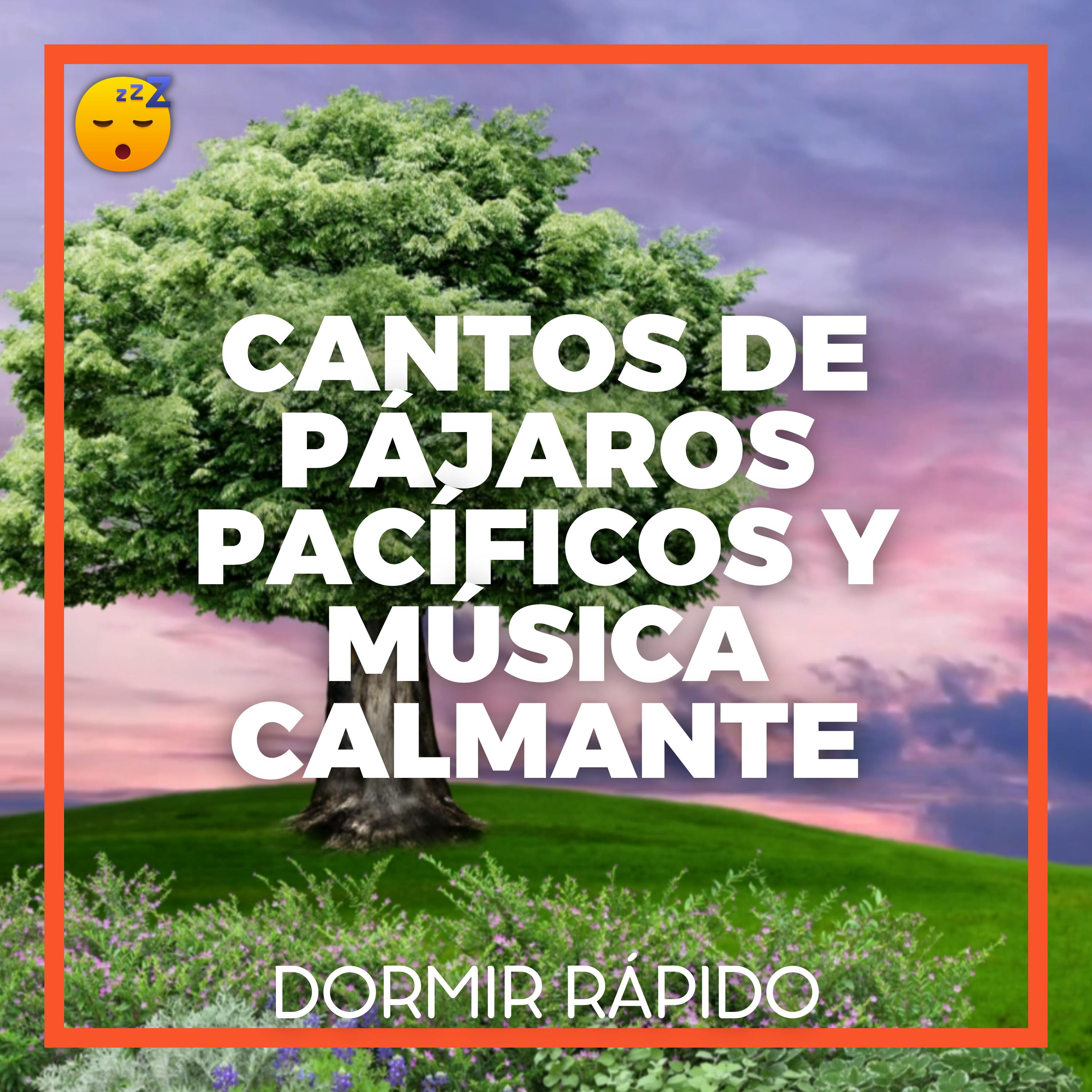 CANTOS DE PÁJAROS Pacíficos y MÚSICA Calmante para un Reparador SUEÑO episode artwork