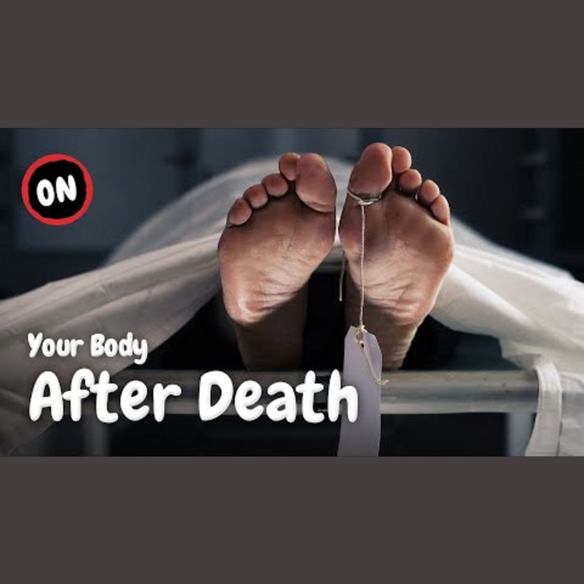 Discover What Truly Happens When You Die episode artwork