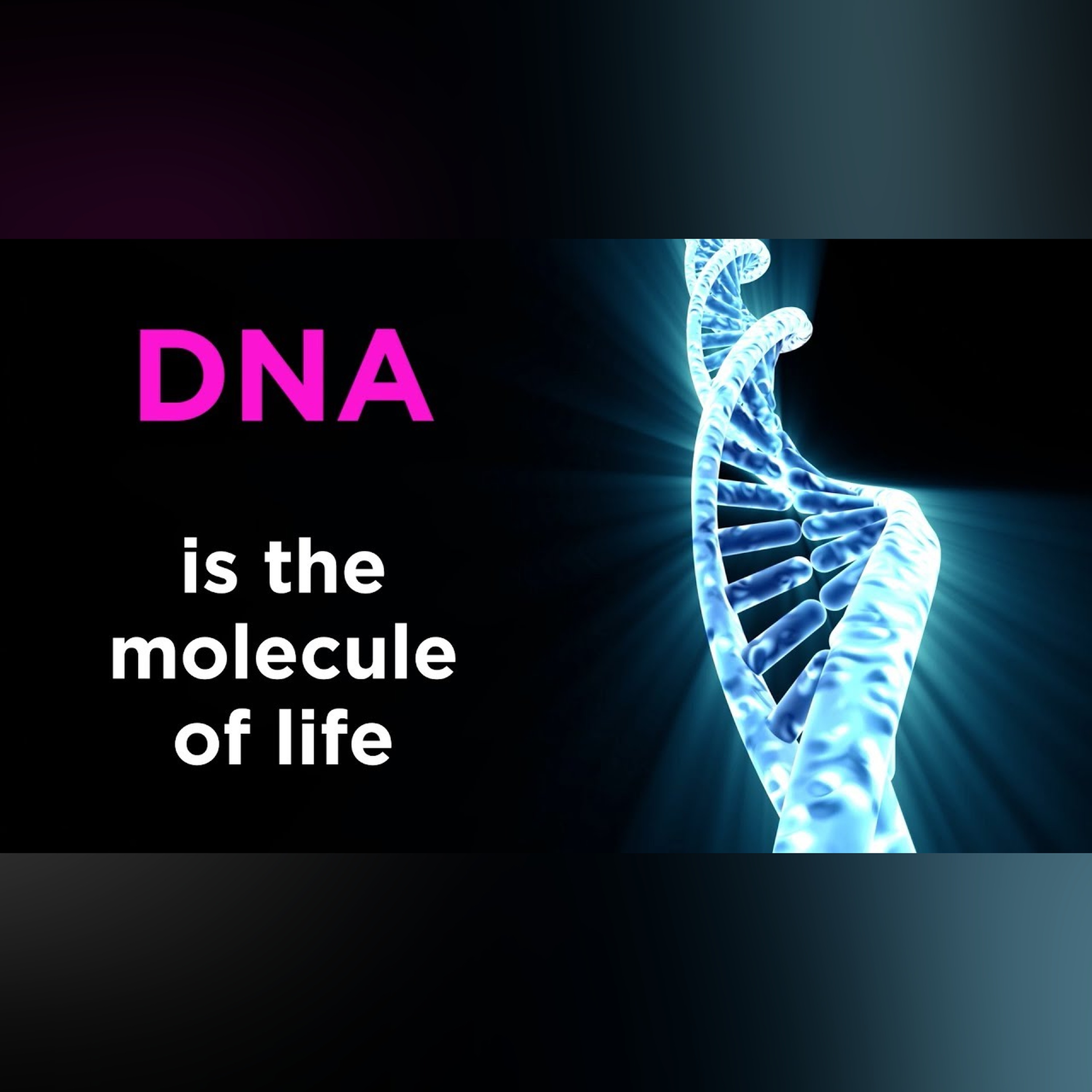Introduction to Biology: What is Life?