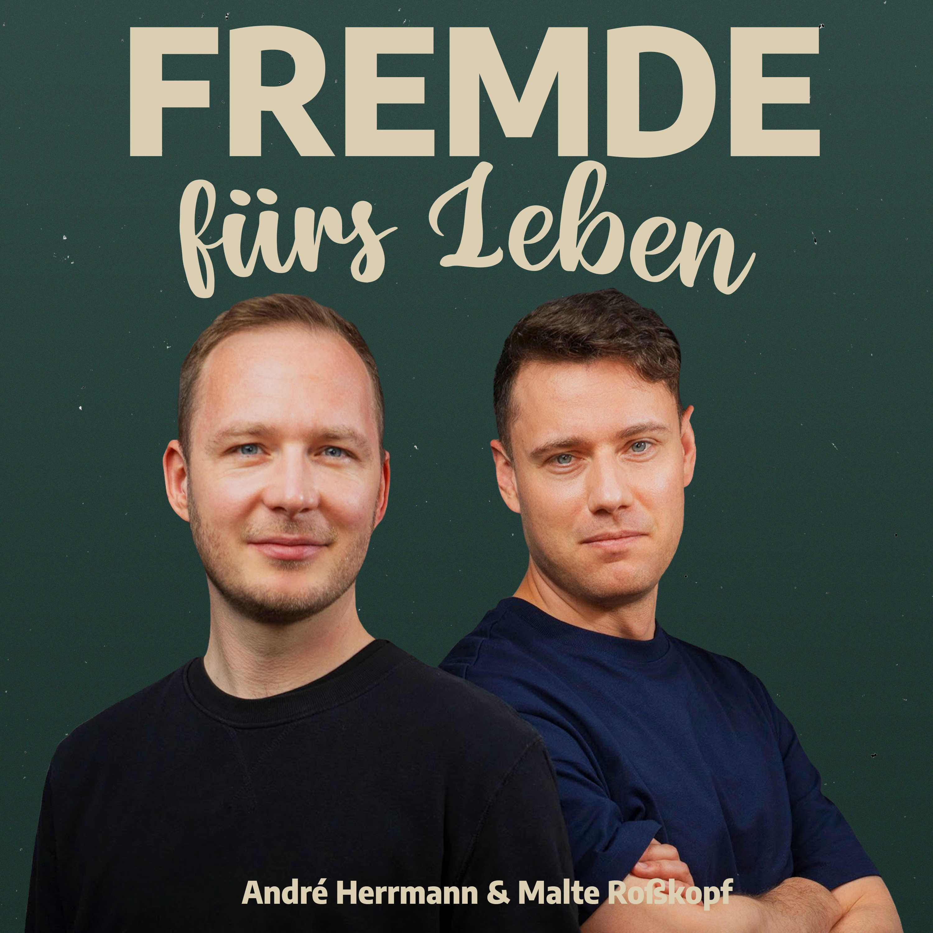 FFL 047 - Andy Hundertkilo und die Twin Twin Situation episode artwork