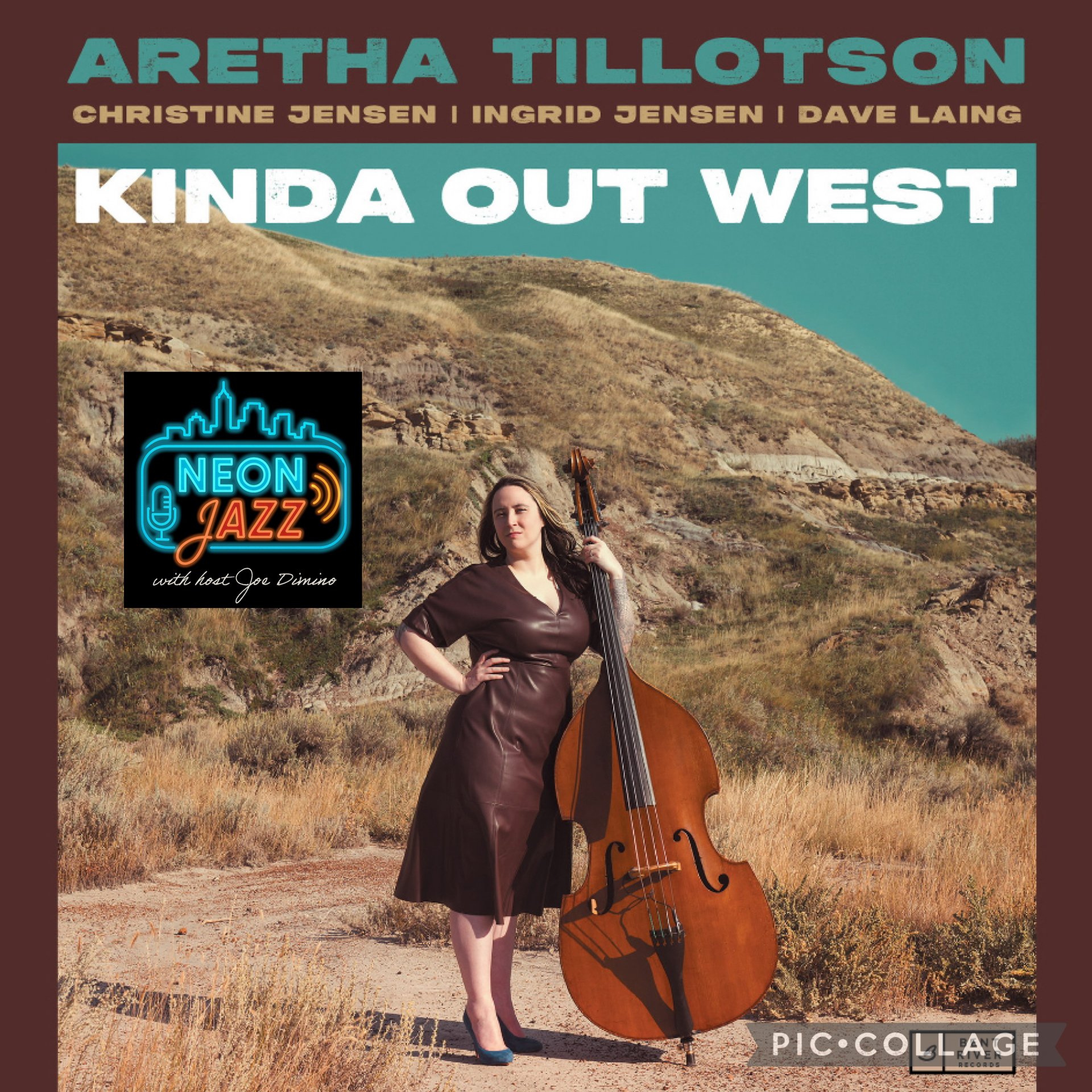 Edmonton-based Jazz Bassist Aretha Tillotson