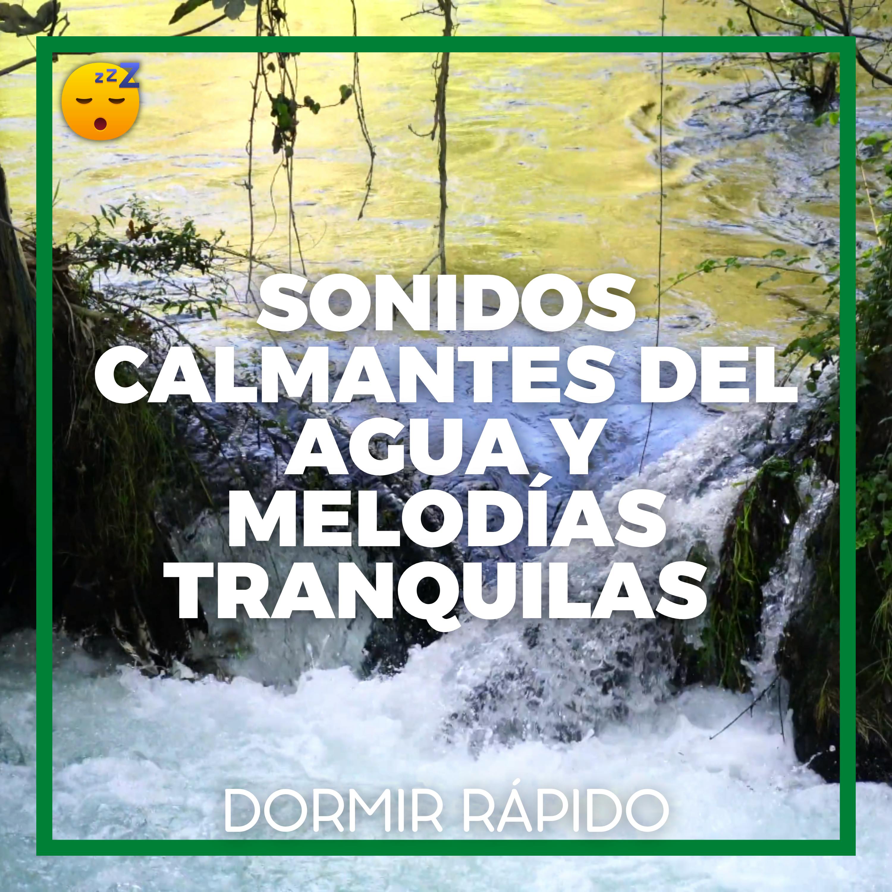 Sonidos Calmantes del AGUA y MELODÍAS Tranquilas para DORMIR SUAVEMENTE episode artwork