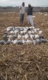 056: Snow Goose Hunters