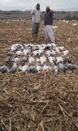 056: Snow Goose Hunters 056: Snow Goose Hunters