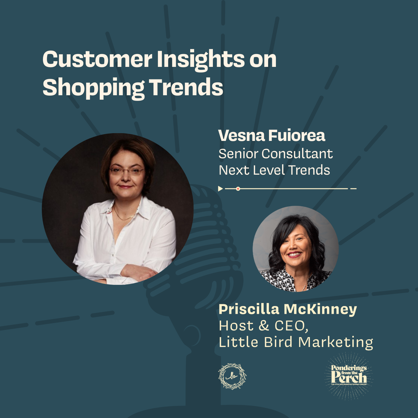 Customer Insights on Shopping Trends episode artwork