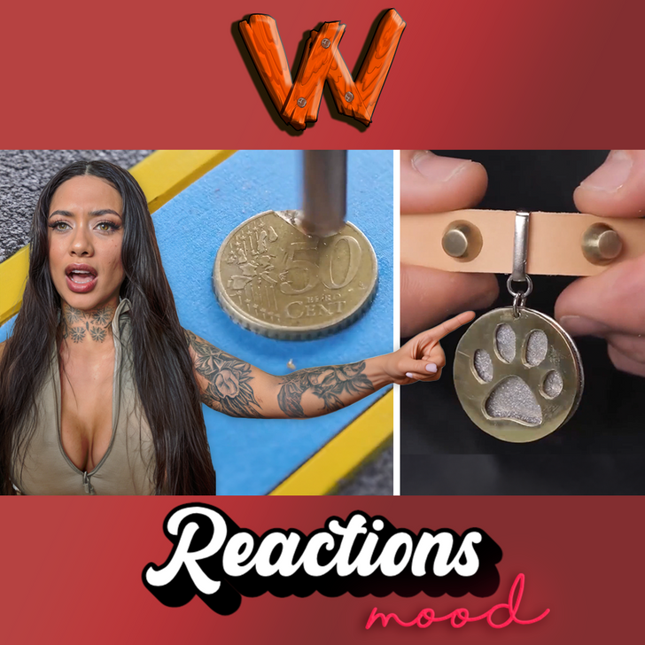 Master Turns 50 Cents Into a Unique Pet Collar! REACTS episode artwork