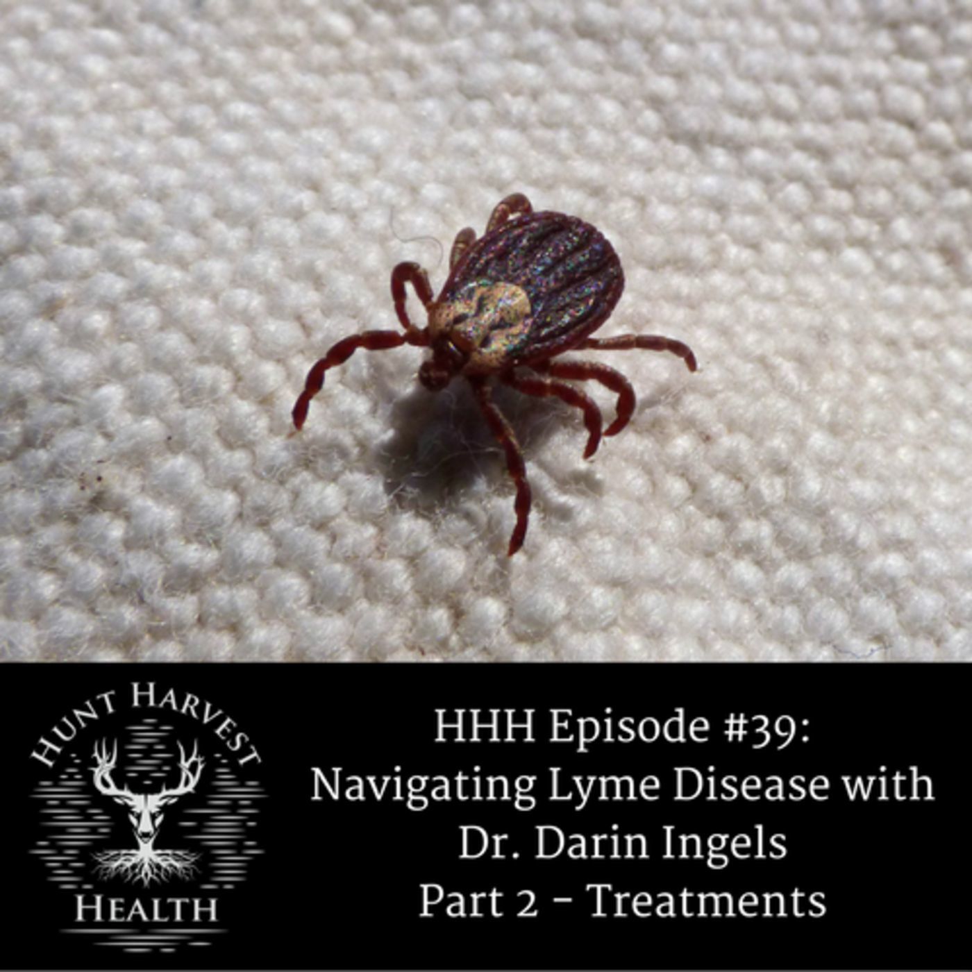 Episode #39:  Navigating Lyme Disease with Dr. Darin Ingels - Part 2 Treatments