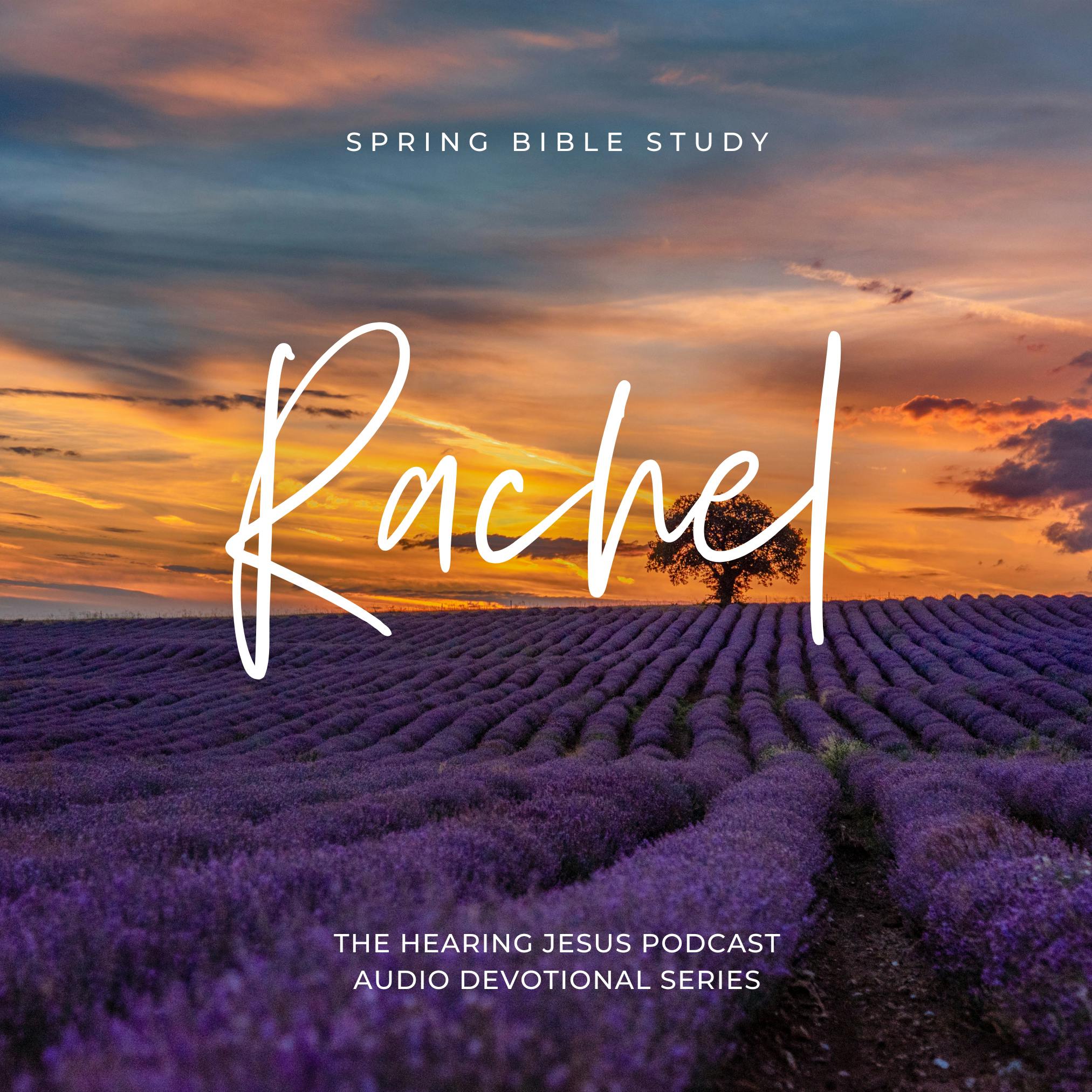 Spring Bible Study: Rachel- Choosing Gratitude Over Longing