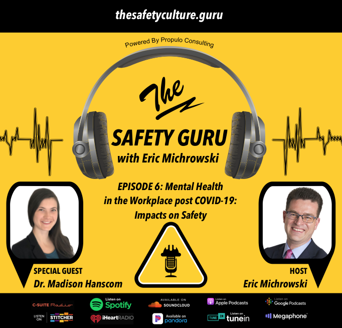 The Safety Guru