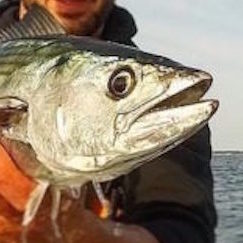 July 28th Fishing Report with Eastman's Sport & Tackle episode artwork