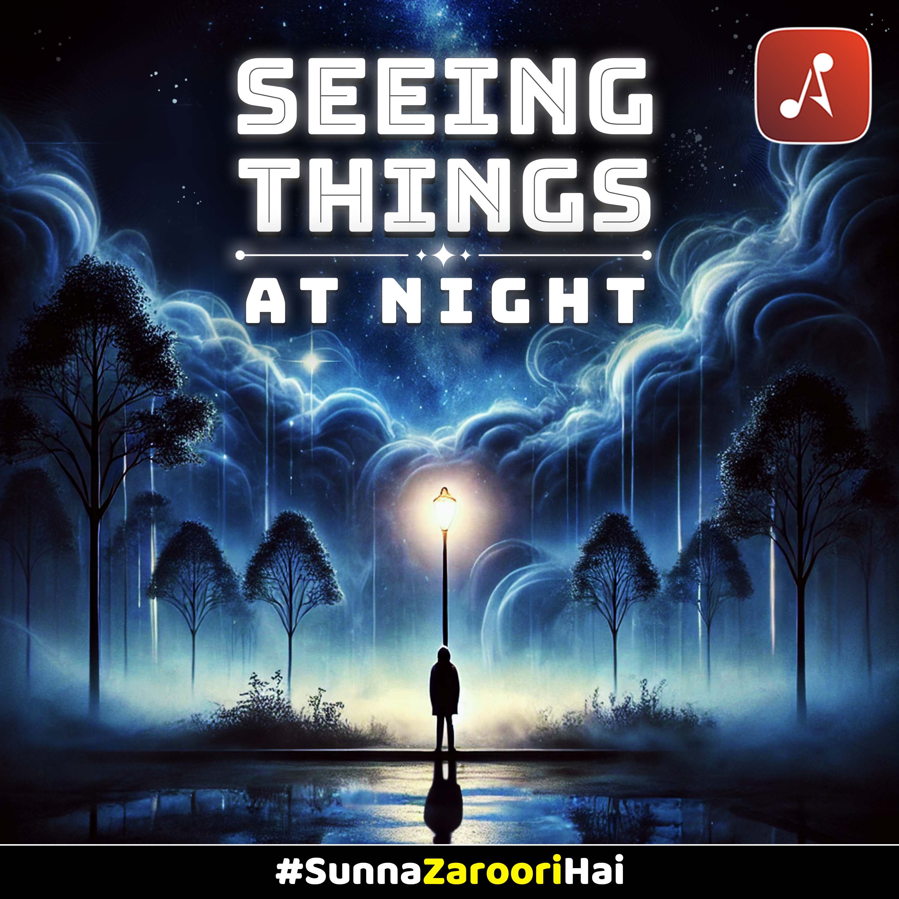 Seeing Things at Night