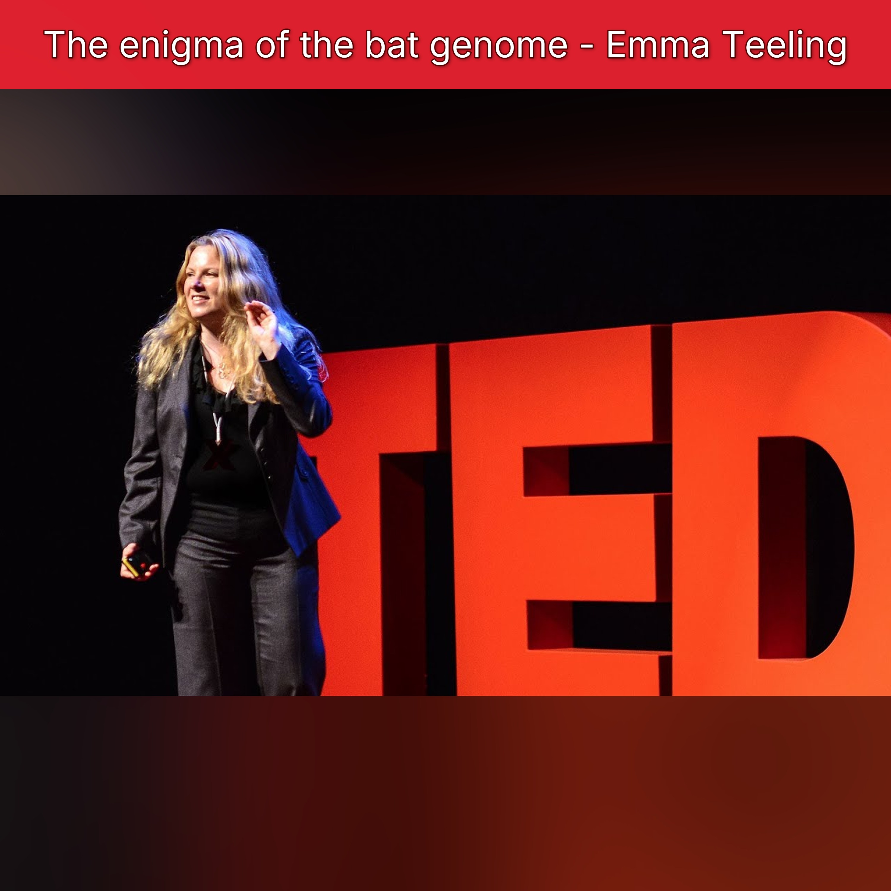 The enigma of the bat genome - Emma Teeling episode artwork
