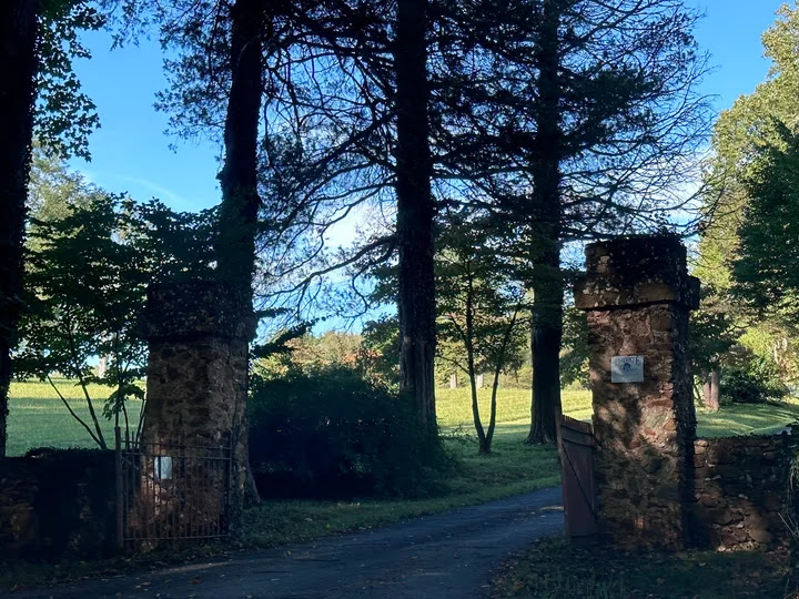 216- The Forest Silences Reverend Billy