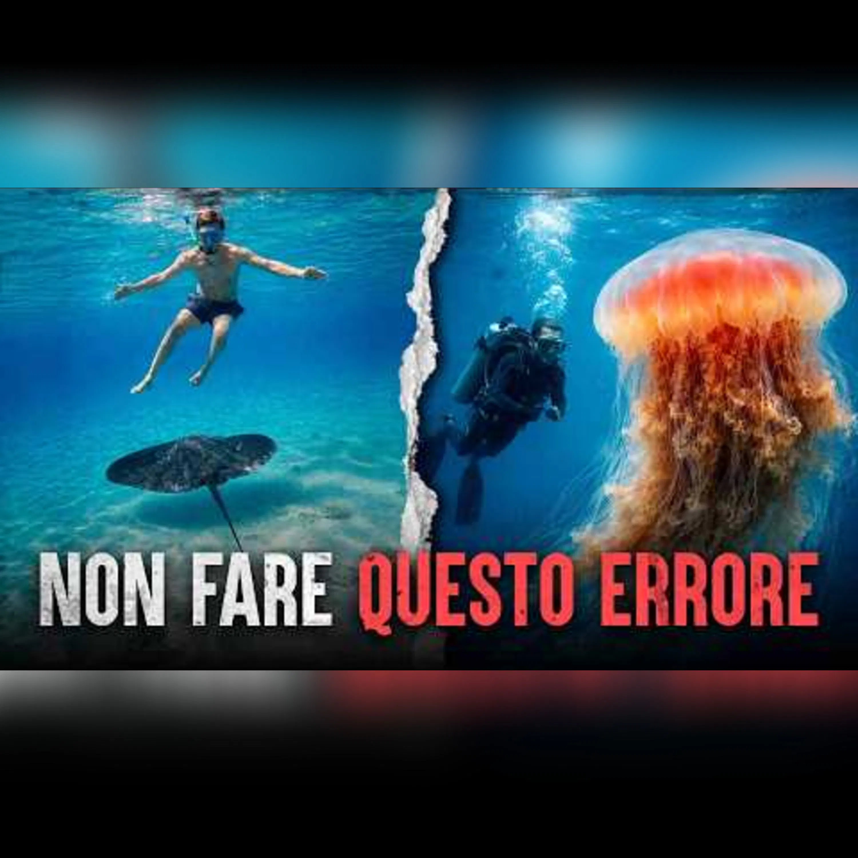Cosa ti uccide davvero nell'oceano? Nemmeno gli esperti sono al sicuro episode artwork