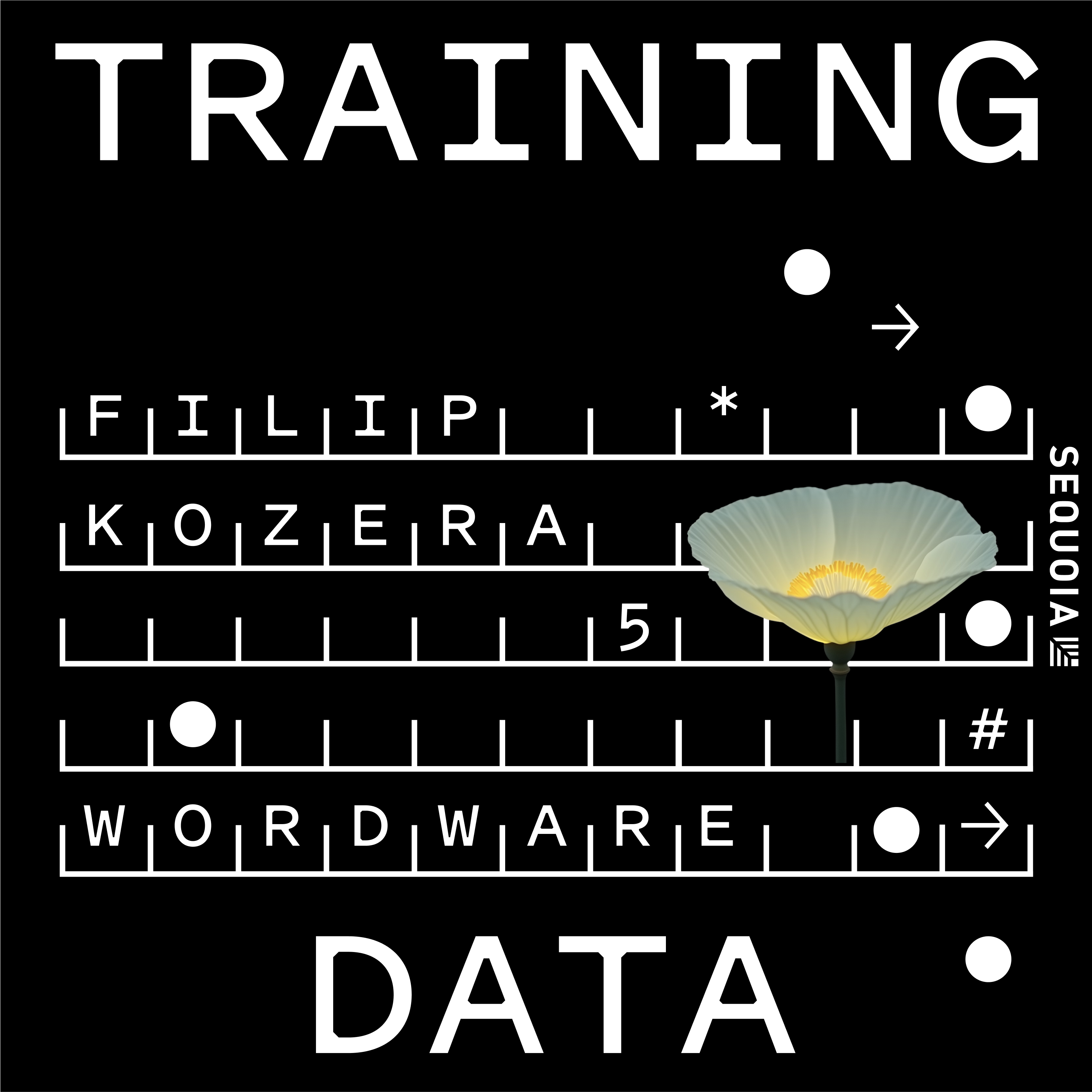 From Software Engineers to AI Word Artisans: Filip Kozera of Wordware