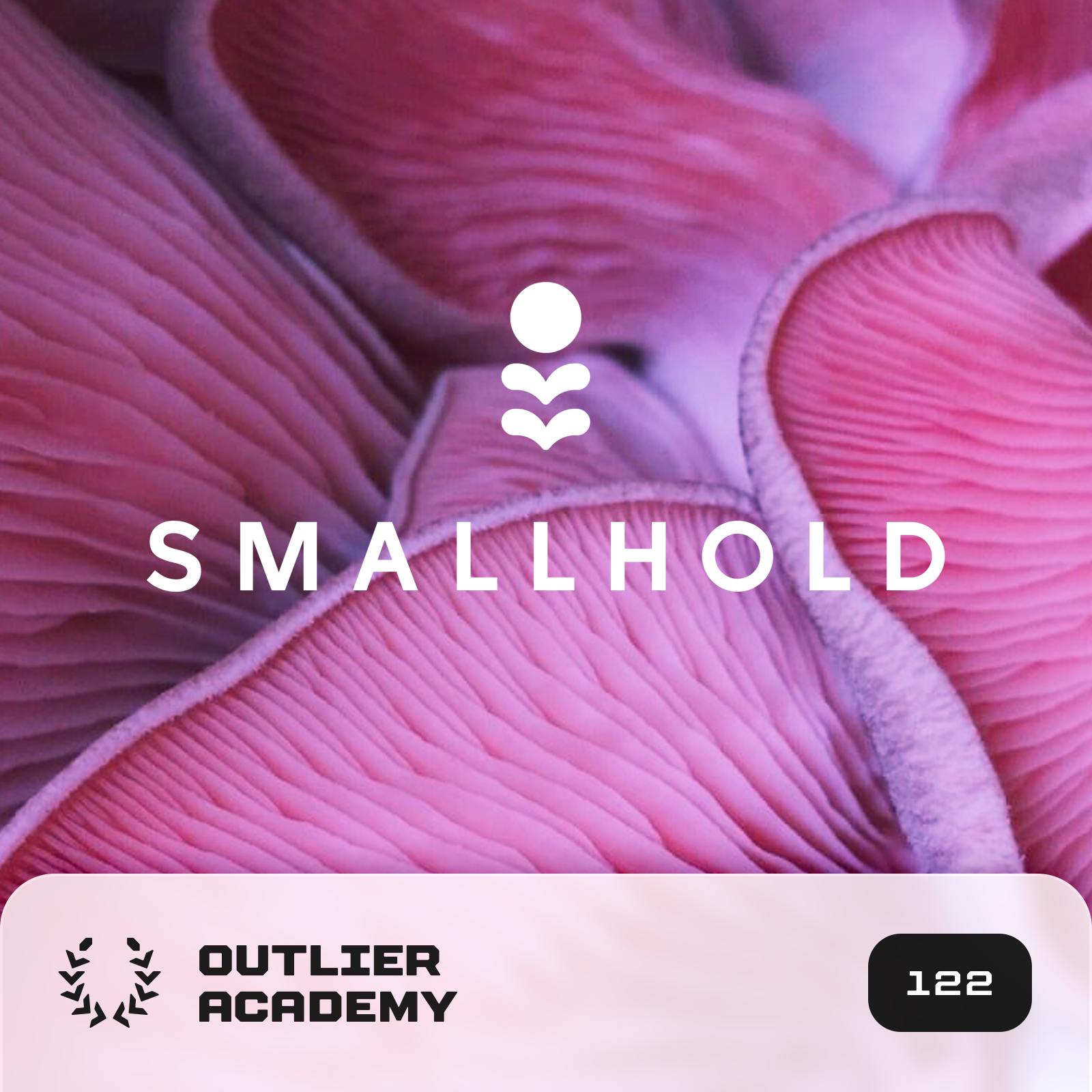 #122 Smallhold: Growing the World’s Best Mushrooms in High-Tech Mini Farms Right in Restaurants and Grocery Stores | Andrew Carter, Co-Founder & CEO Image