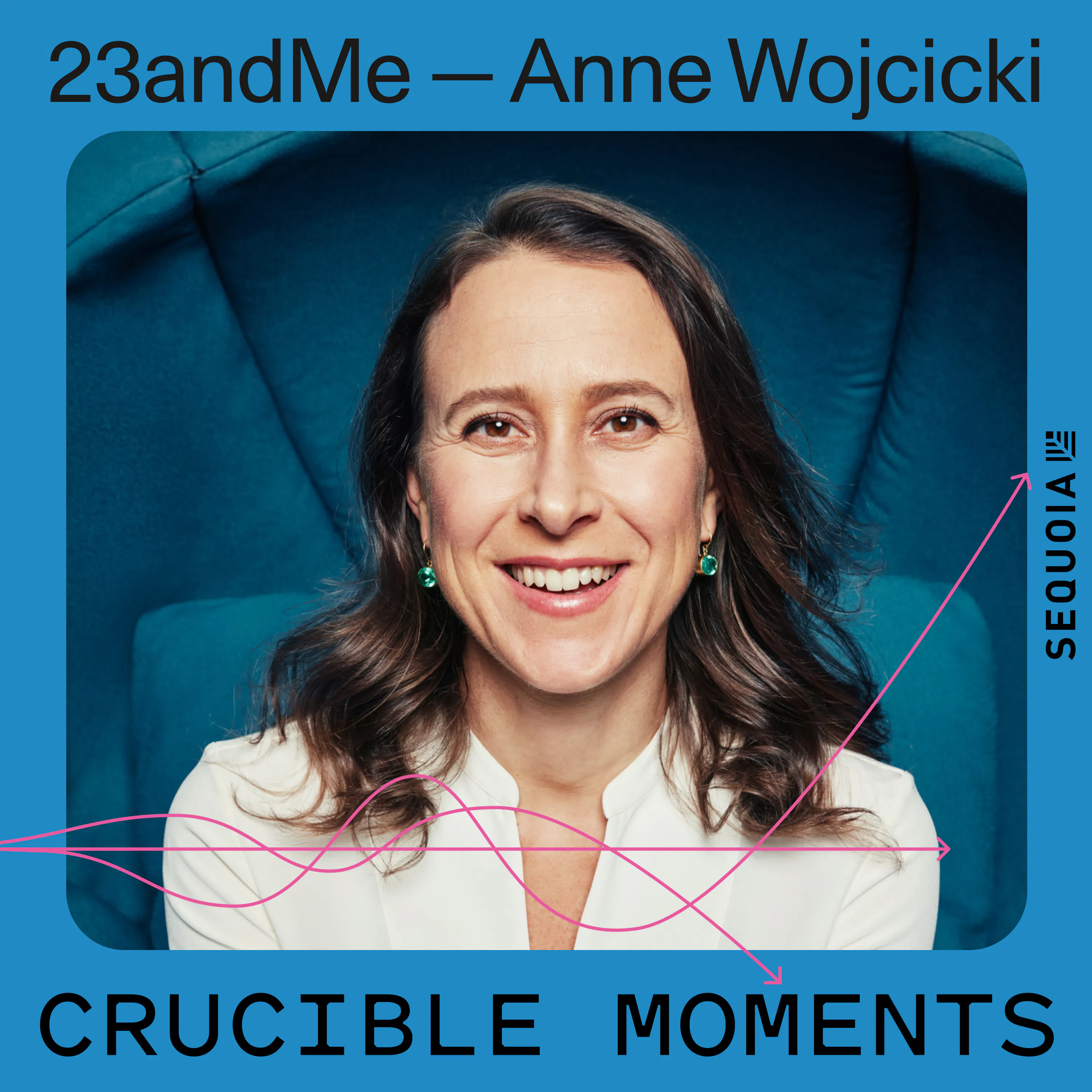 23andMe ft. Anne Wojcicki - How a DNA startup took on the FDA and redefined health tech episode artwork