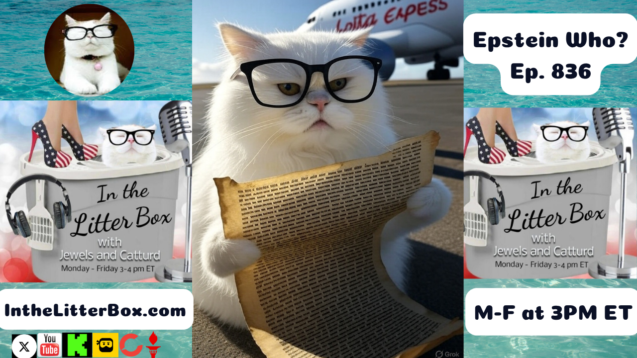 Epstein Who? | In the Litter Box w/ Jewels & Catturd – Ep. 836 – 7/8/2025