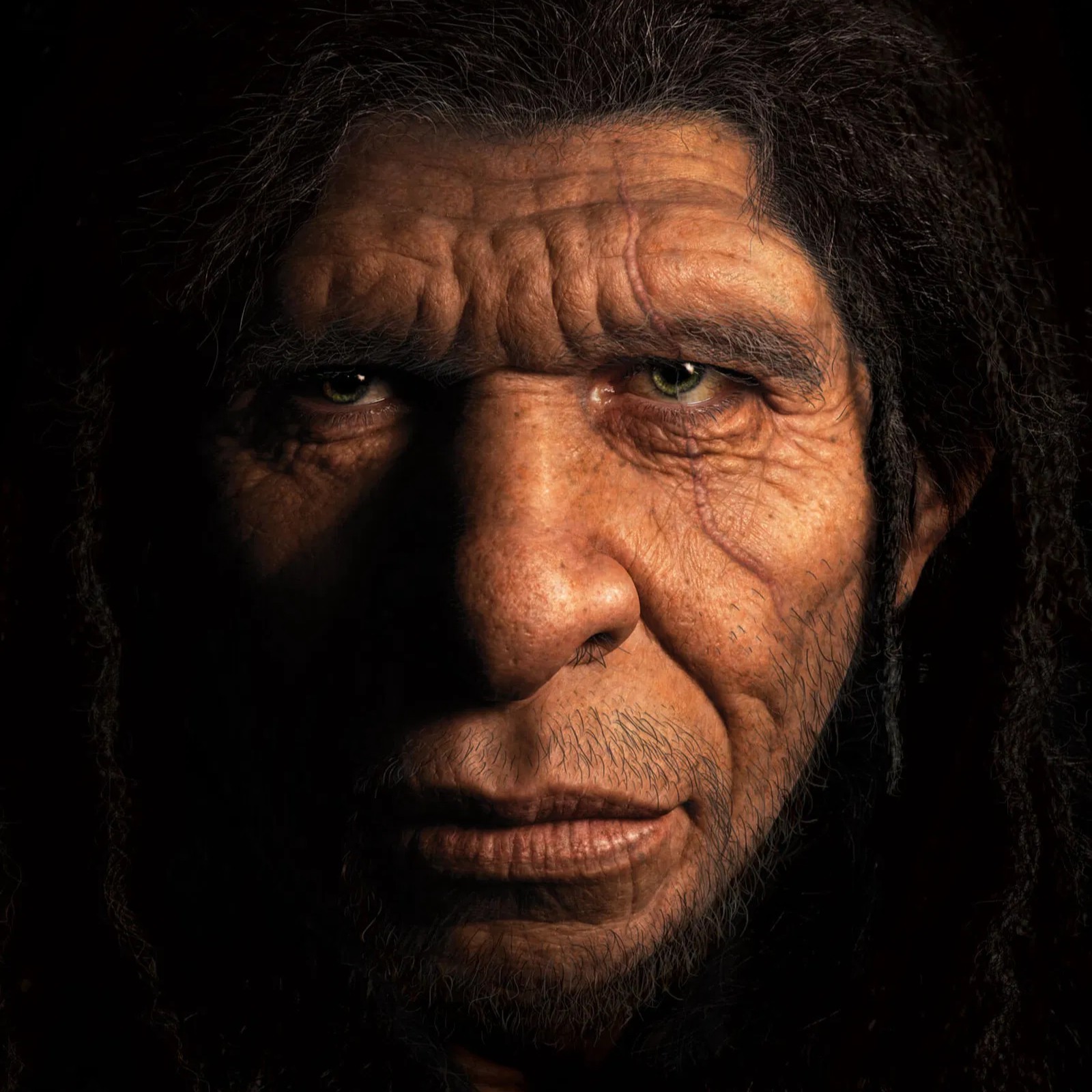 #727 - Come comparvero i primi Neanderthal?