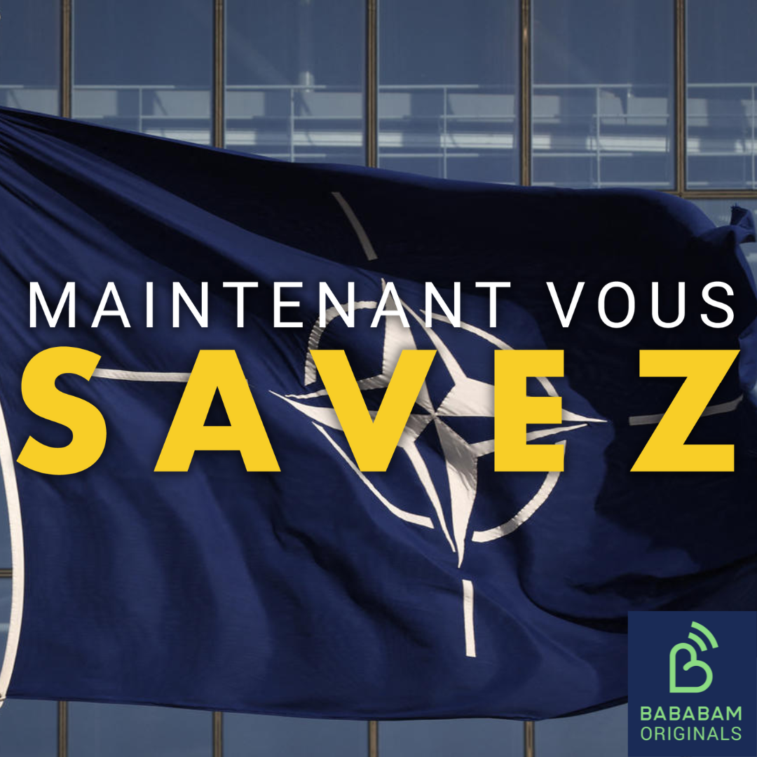 Qu’est-ce que l’OTAN ? 