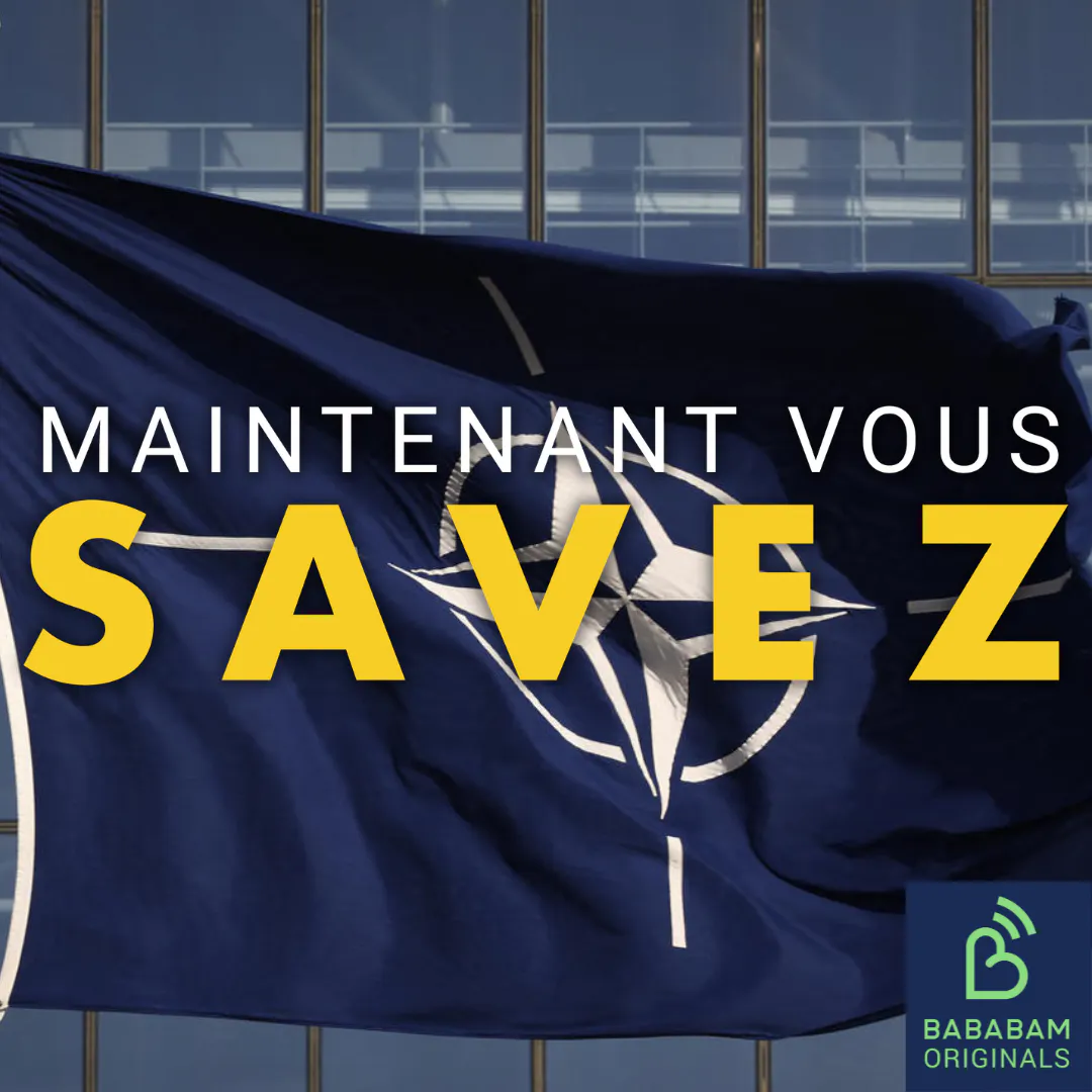 Qu’est-ce que l’OTAN ?