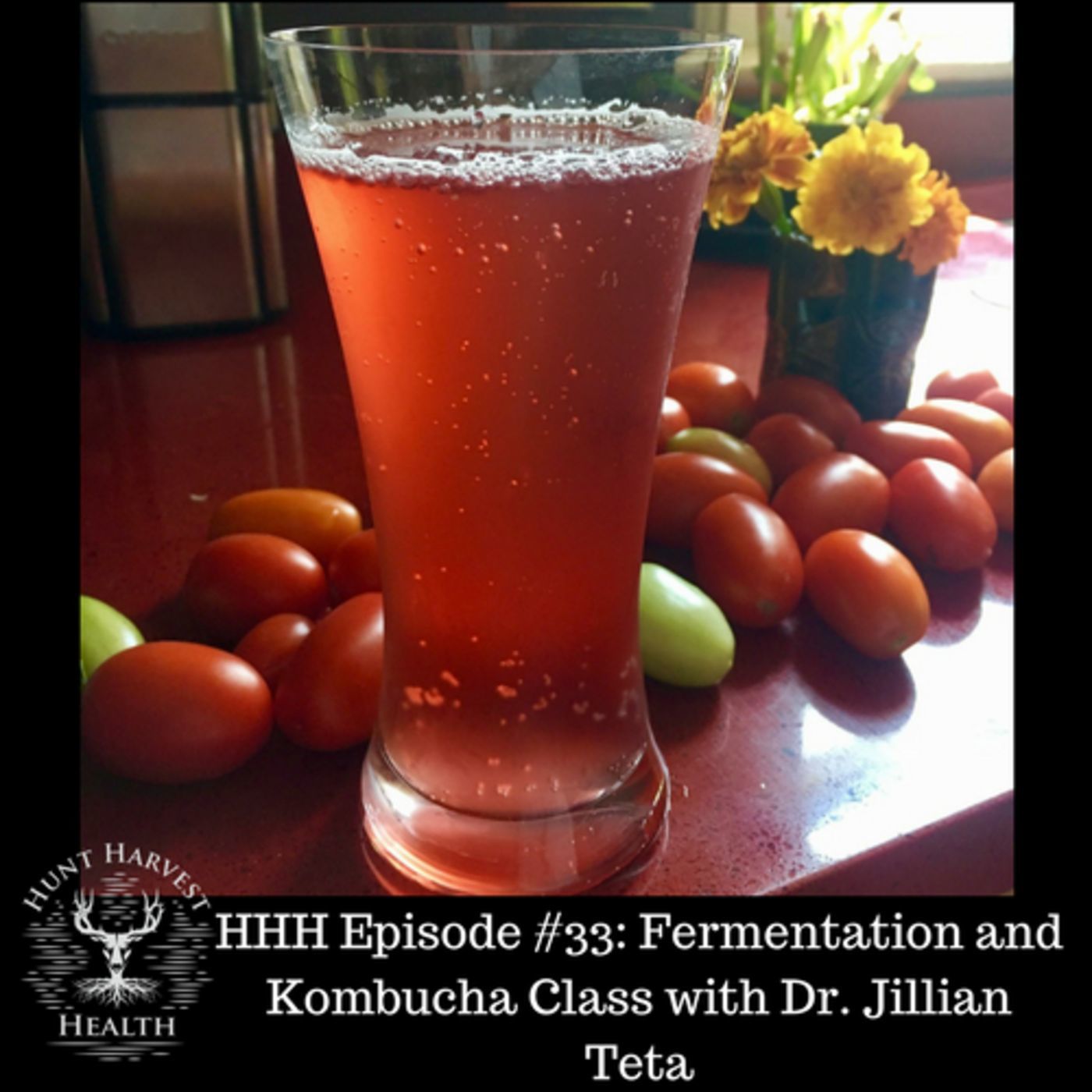 Episode #33:  Food Friday- The Healing Benefits of Fermentation and Kombucha Class with Dr. Jillian Teta