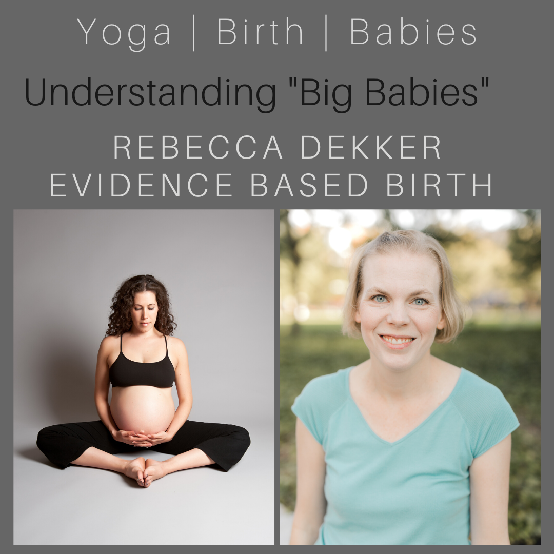Understanding "Big Babies" with Rebecca Dekker episode artwork