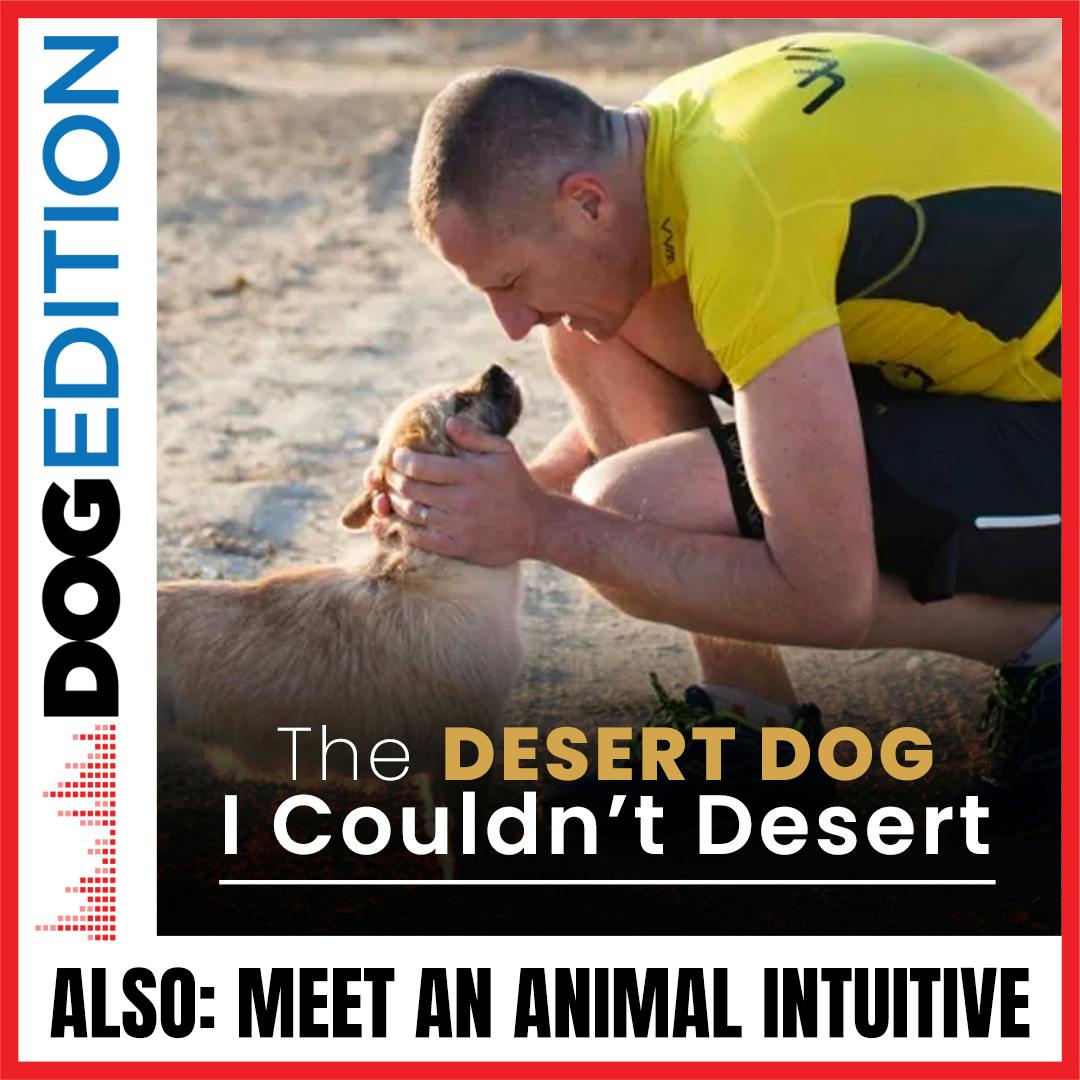 The Desert Dog I Couldn’t Desert | Meet An Animal Intuitive | Dog Edition #27