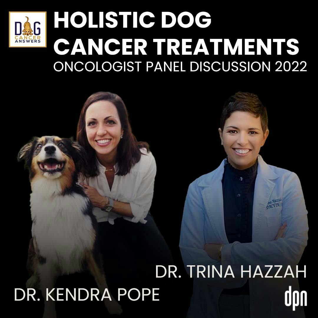 Episode image for Holistic Dog Cancer Treatments: Oncologist Panel Discussion 2022 | Dr. Kendra Pope and Dr. Trina Hazzah