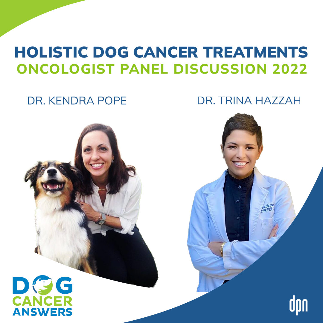 Holistic Dog Cancer Treatments: Oncologist Panel Discussion 2022 | Dr. Kendra Pope and Dr. Trina Hazzah #148