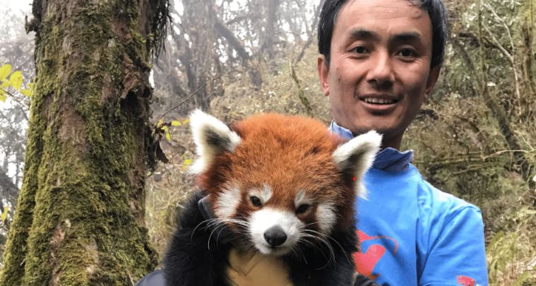 Episode 313: Sonam Lama, Conservation Manager w/Red Panda Network