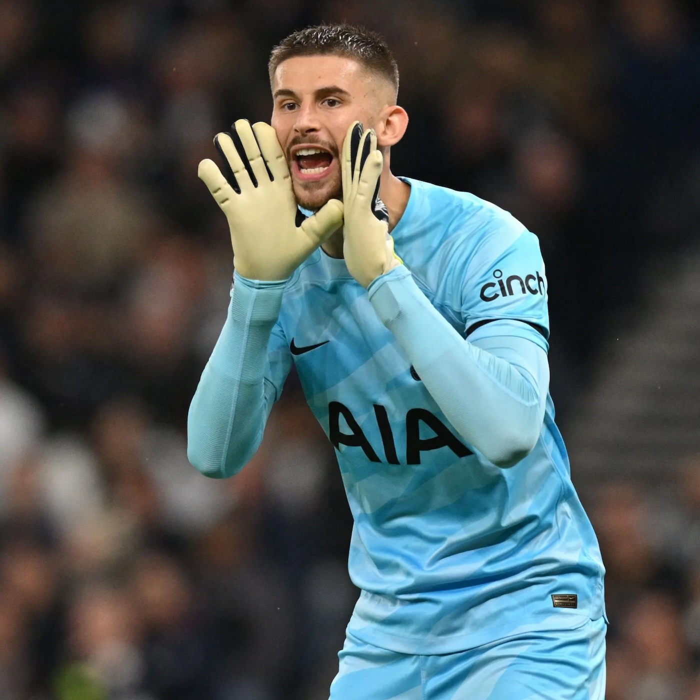 Seagulls Scene-Setter