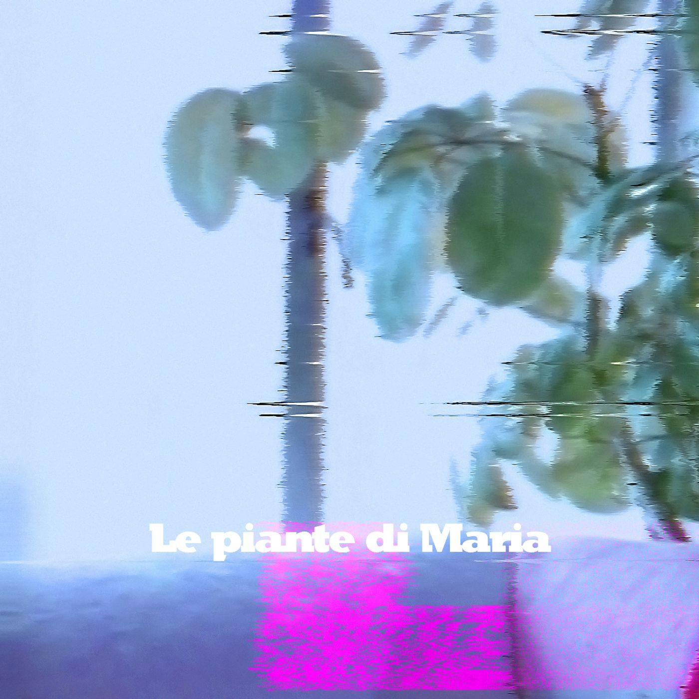 EP 3 - Le piante di Maria