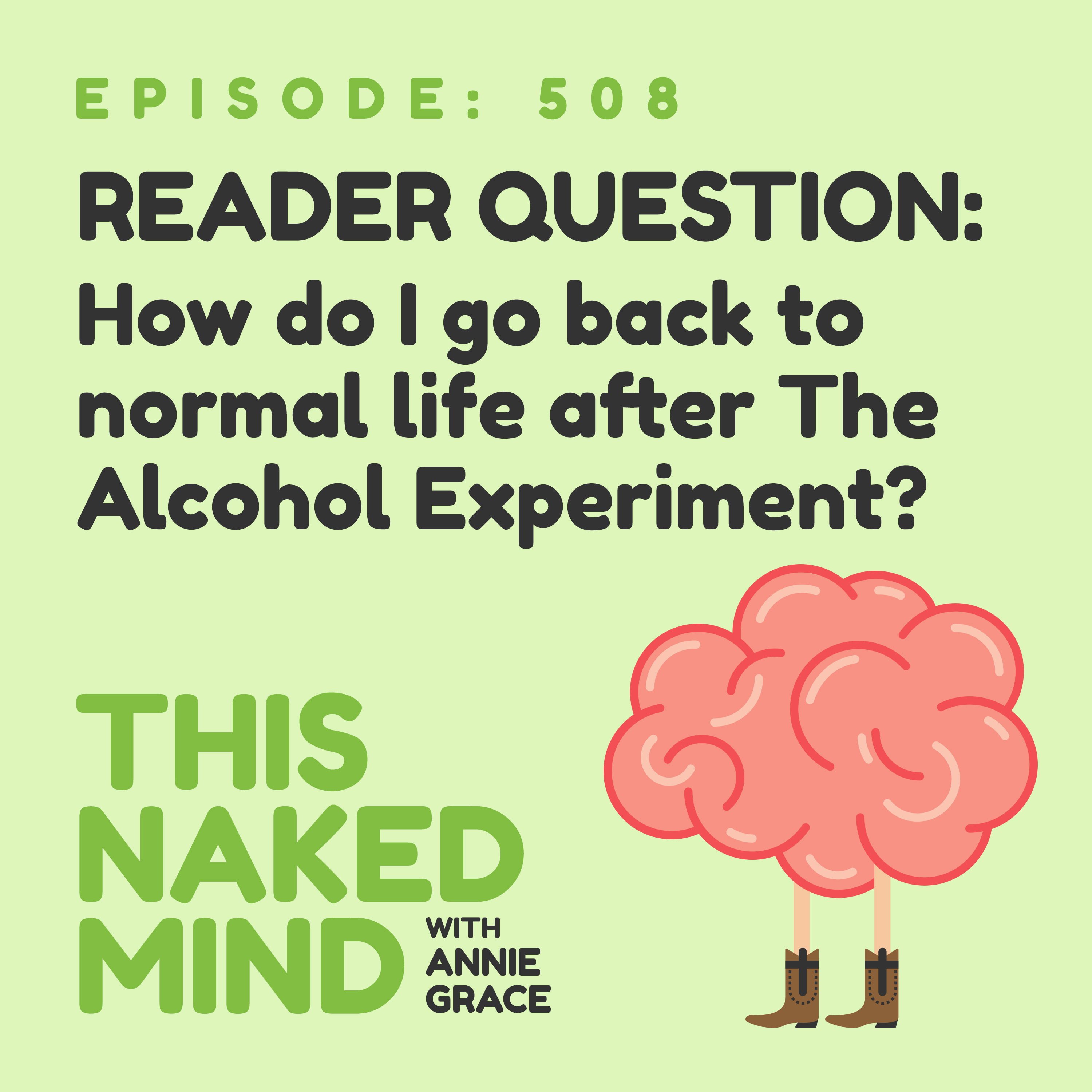 EP 508: Reader Question - How do I go back to normal life after The Alcohol Experiment?