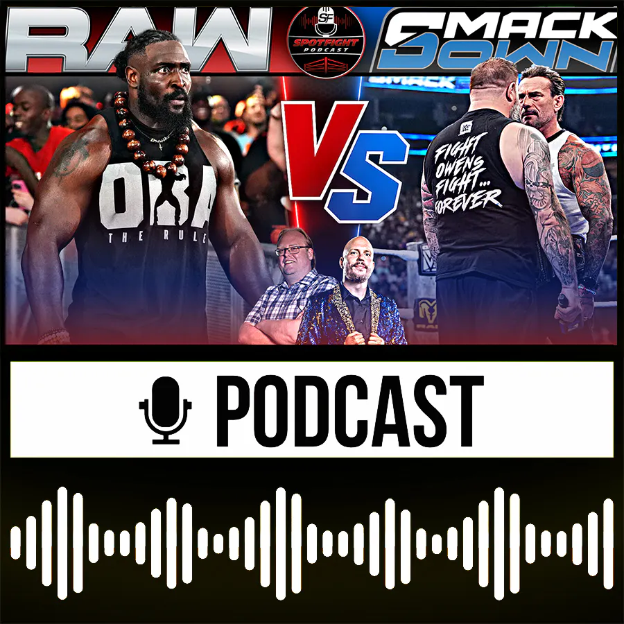20 Tage Hass vs. 20 Jahre Hass 🔴🔵 WWE Raw vs. SmackDown Wrestling Talk KW 33/26