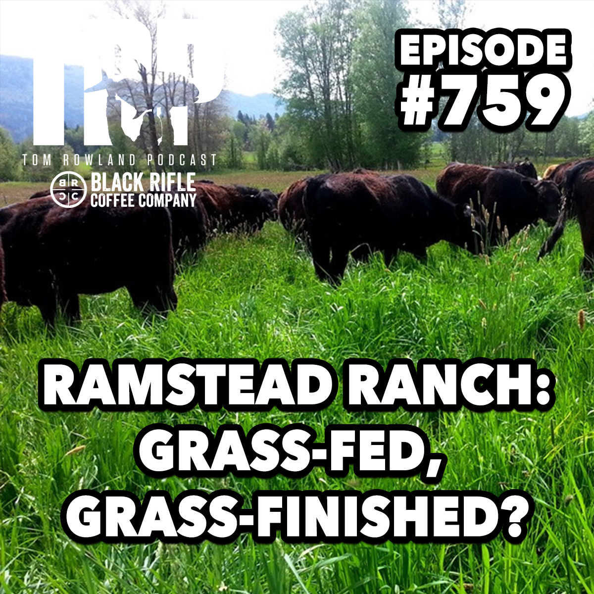 Ramstead Ranch: Regenerative, Grass-Fed, Grass-finished Farming