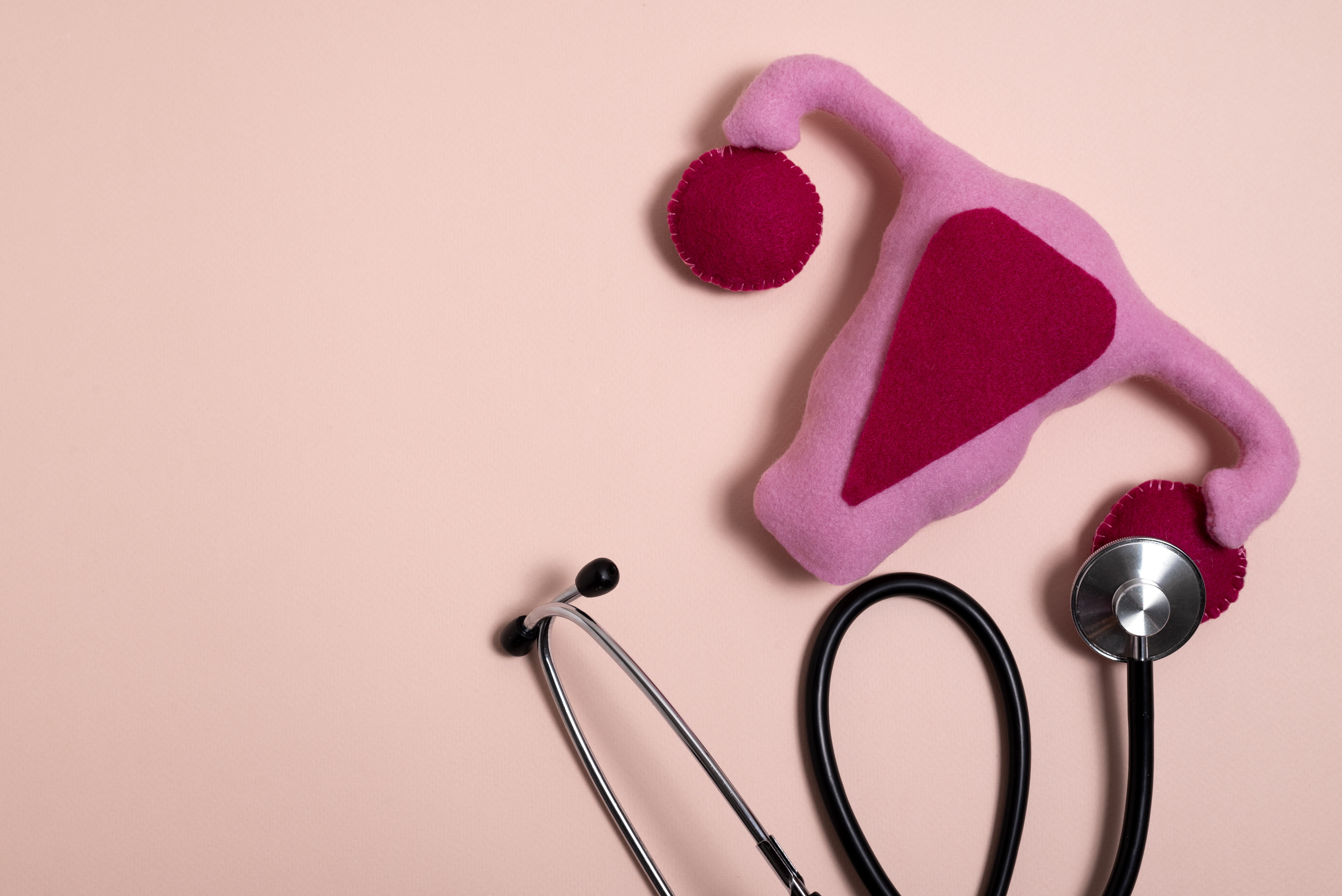 Dia Mundial da Menopausa: tratamento adequado ainda é uma realidade distante, alertam especialistas episode artwork