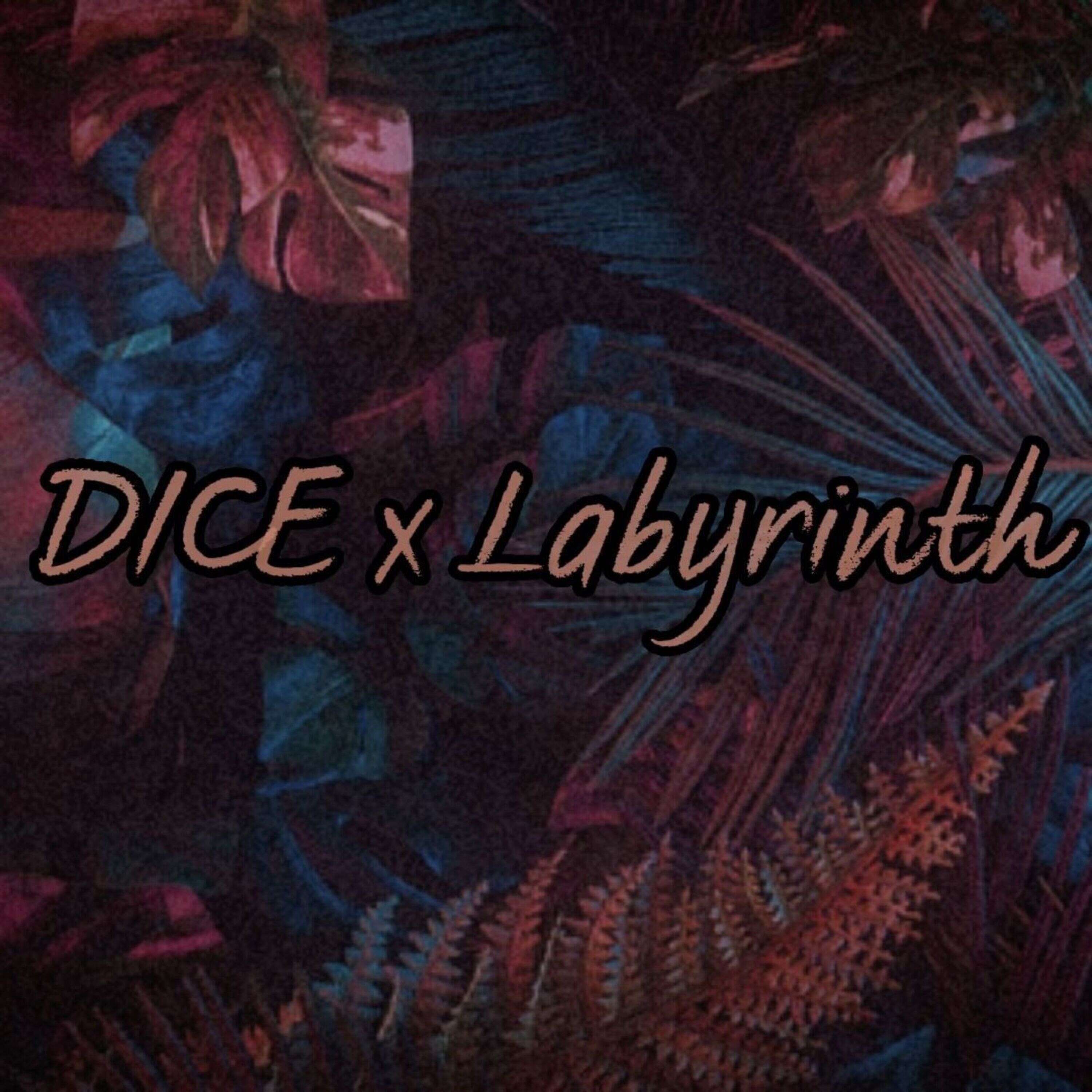 NMIXX - DICE x 9lives - Labyrinth (TikTok Remix) episode artwork