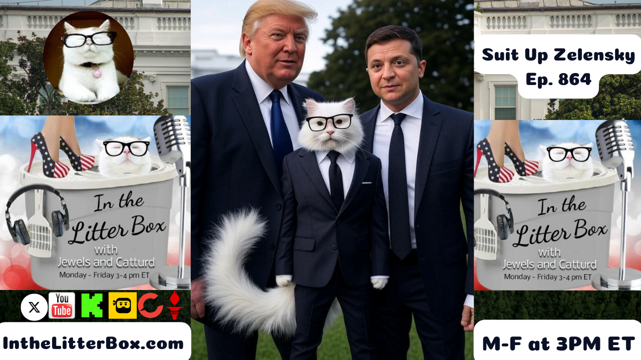 Suit Up Zelensky | In the Litter Box w/ Jewels & Catturd – Ep. 865 – 8/18/2025