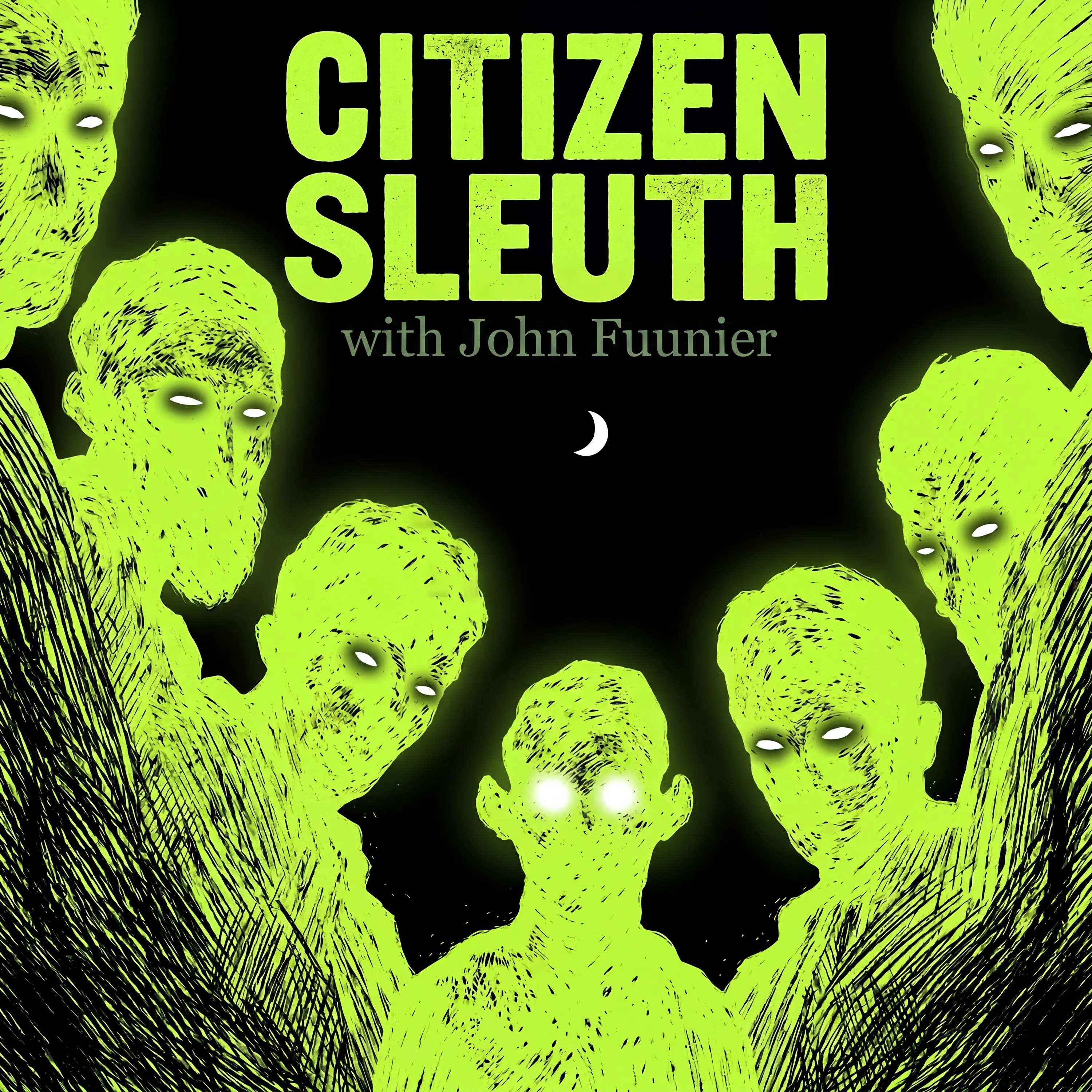 Citizen Sleuth cover