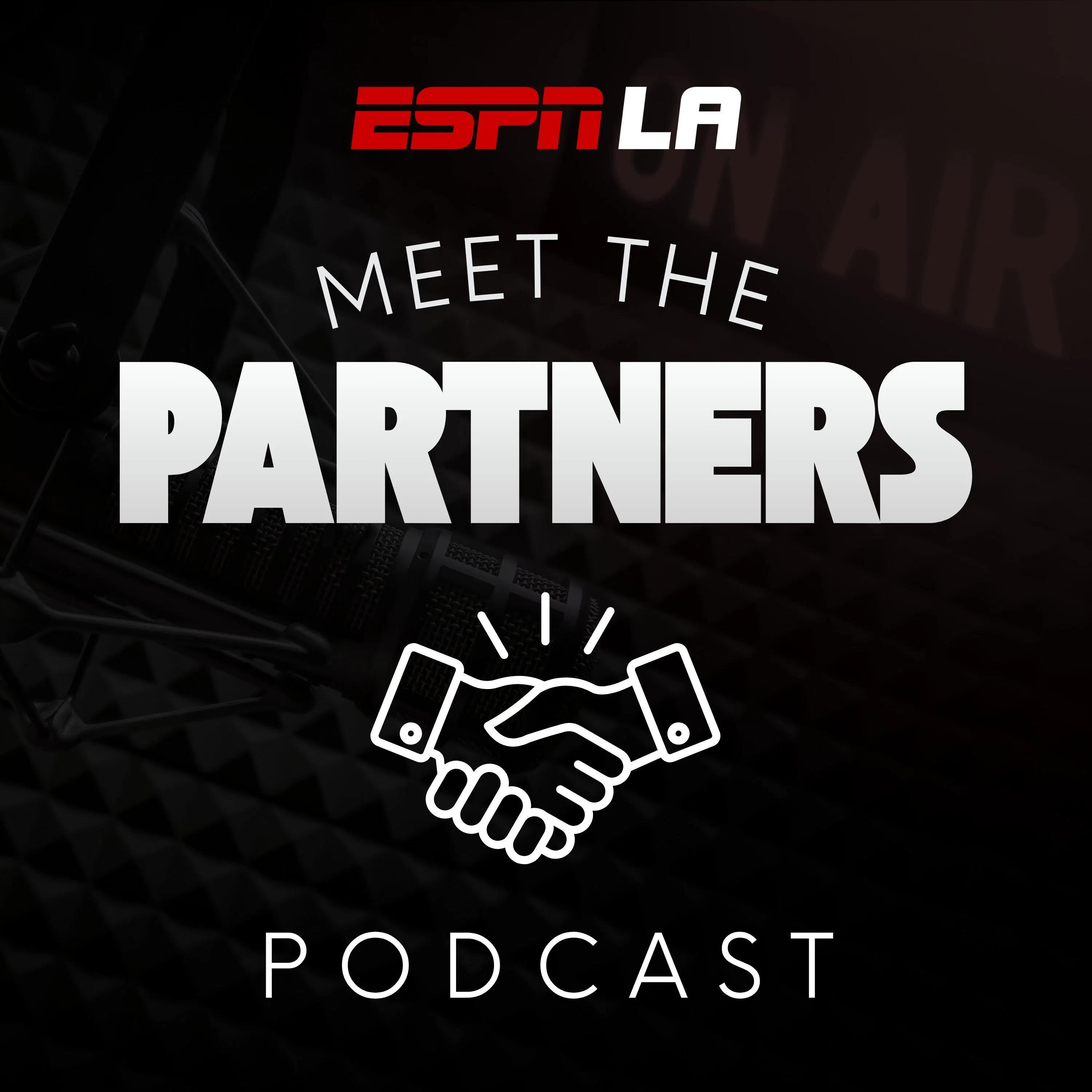 Meet the Partners