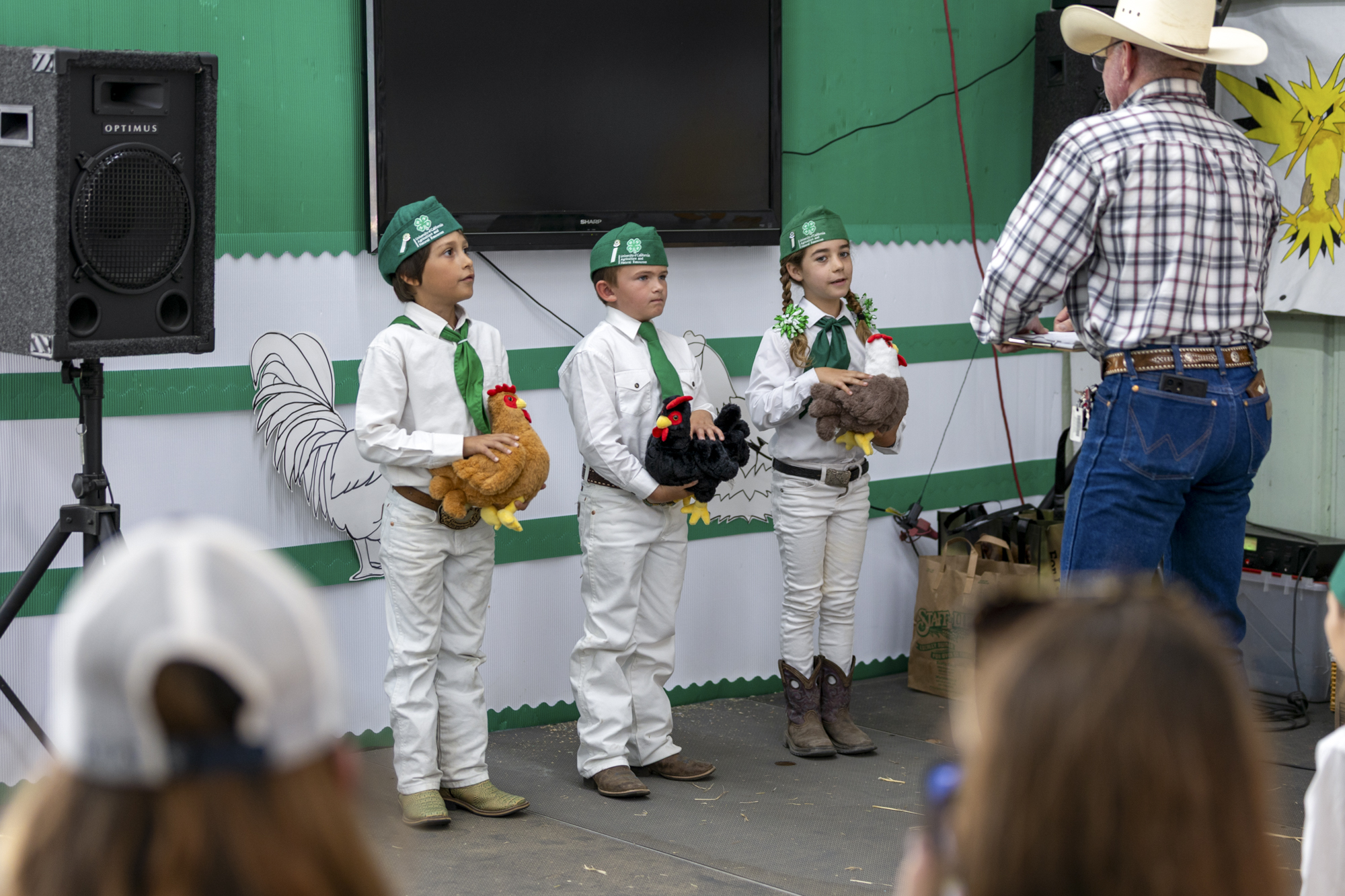 Bird Flu Changes How County Fairs Live Chicken Shows