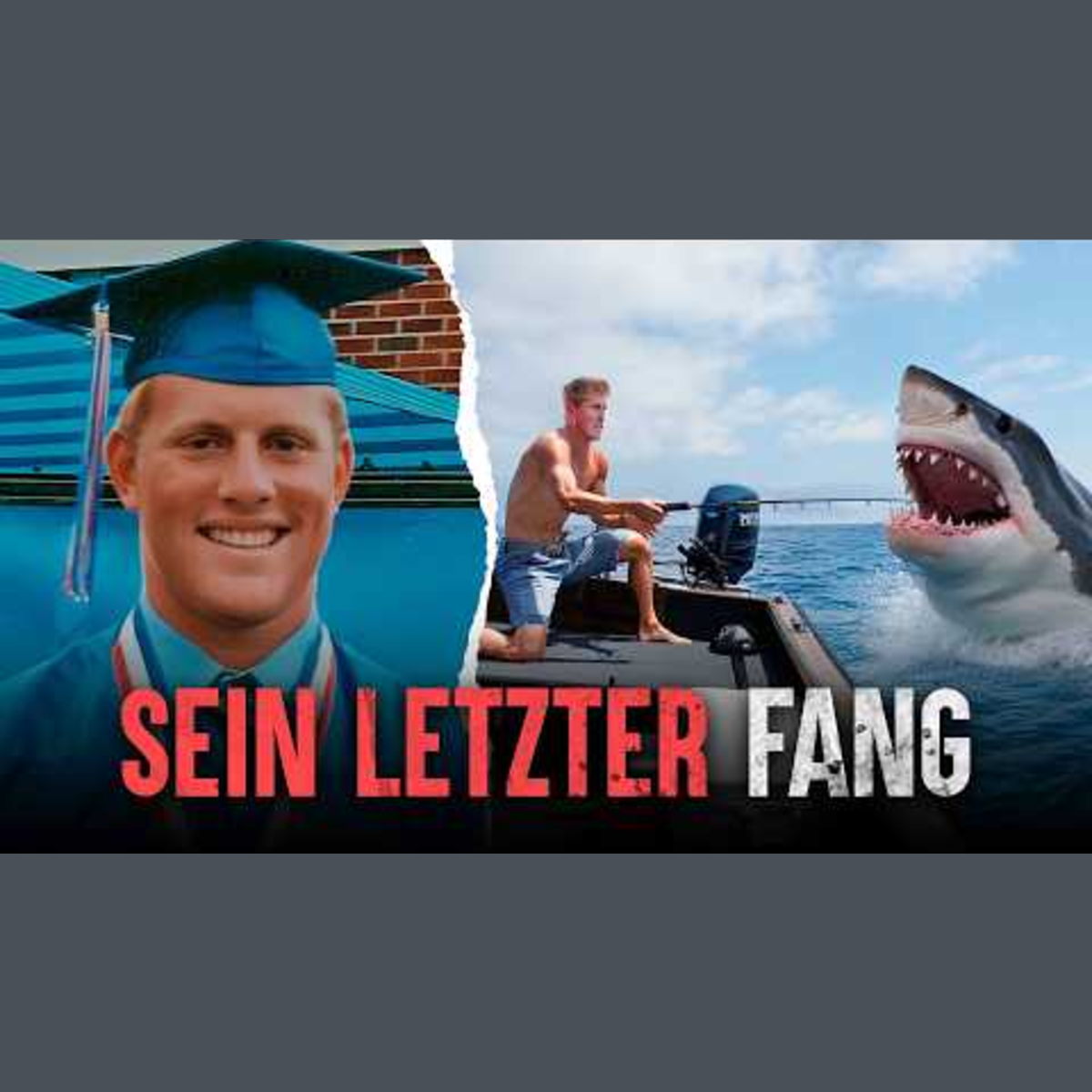 Die unglaublichsten Haiangriffe