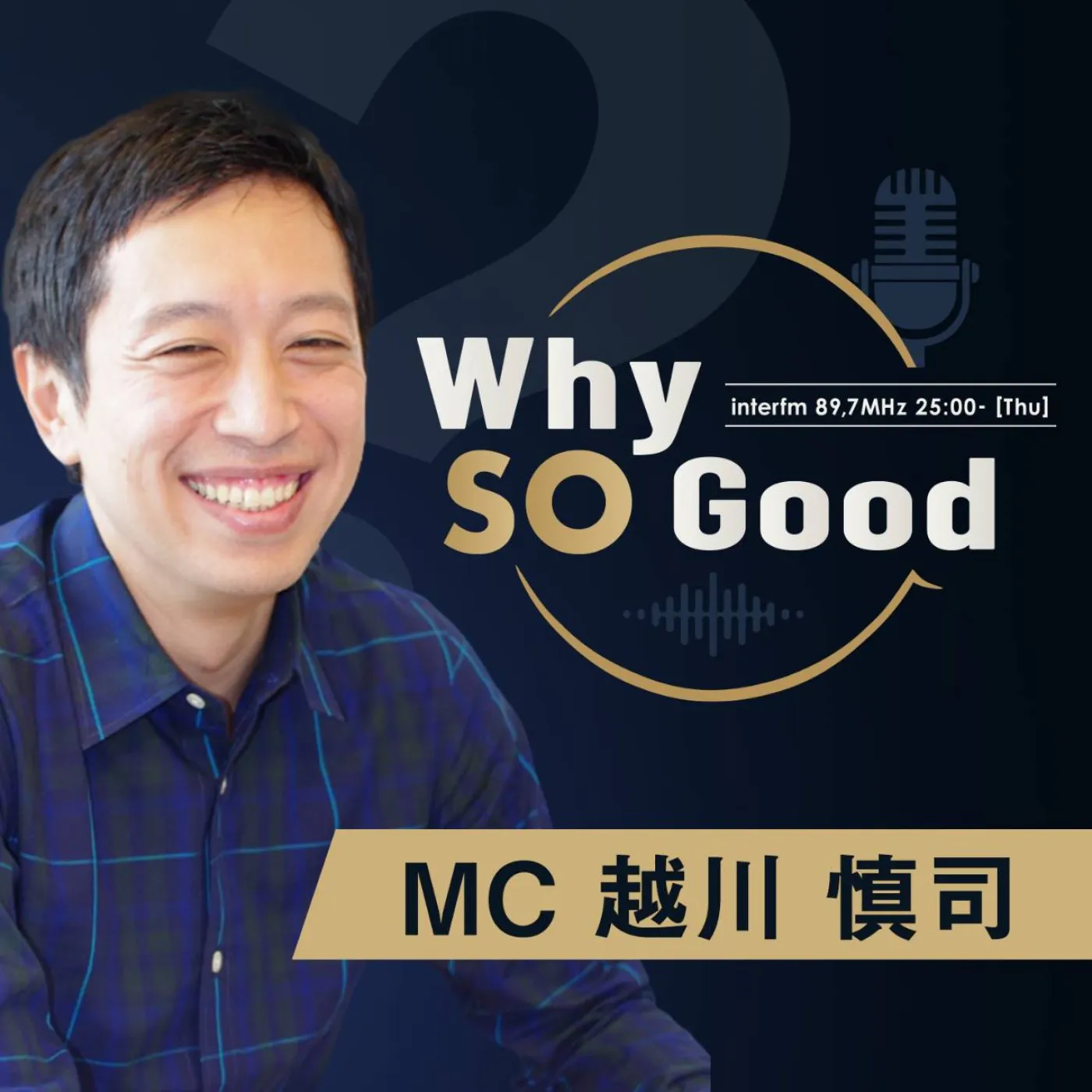 Why So Good? podcast artwork